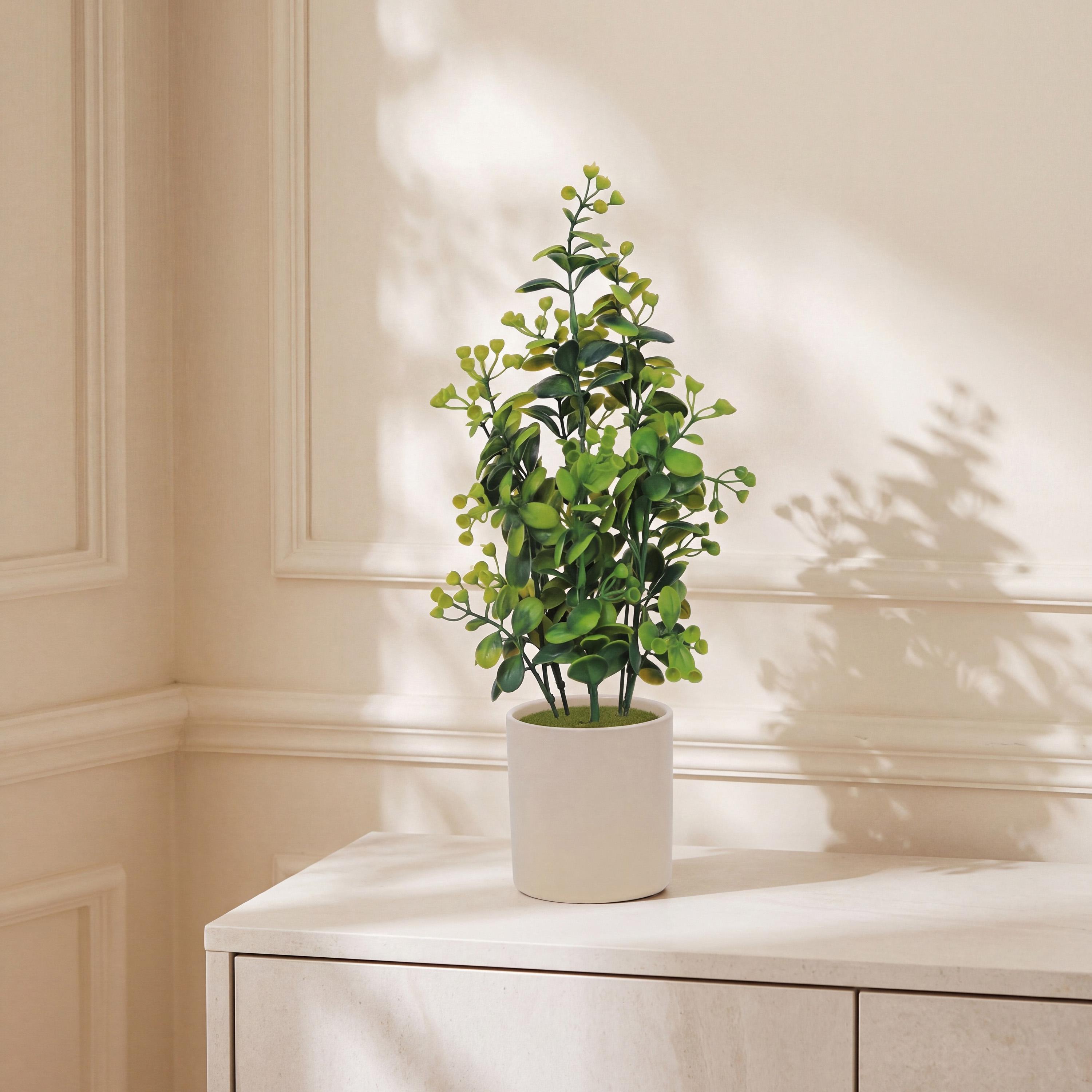 نبات أوراق صناعي مع أصيص سيراميك من ماريا هومز-household-gardenandoutdoor-artificialflowersandplants-flowers-image-1