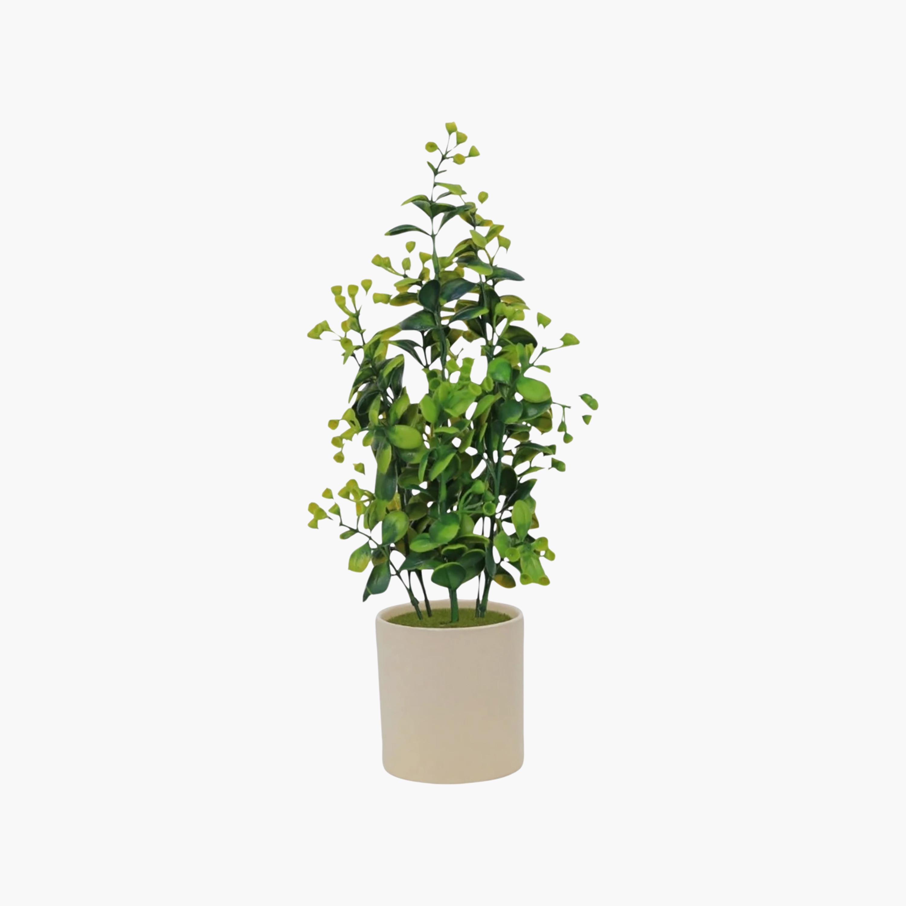 نبات أوراق صناعي مع أصيص سيراميك من ماريا هومز-household-gardenandoutdoor-artificialflowersandplants-flowers-image-2