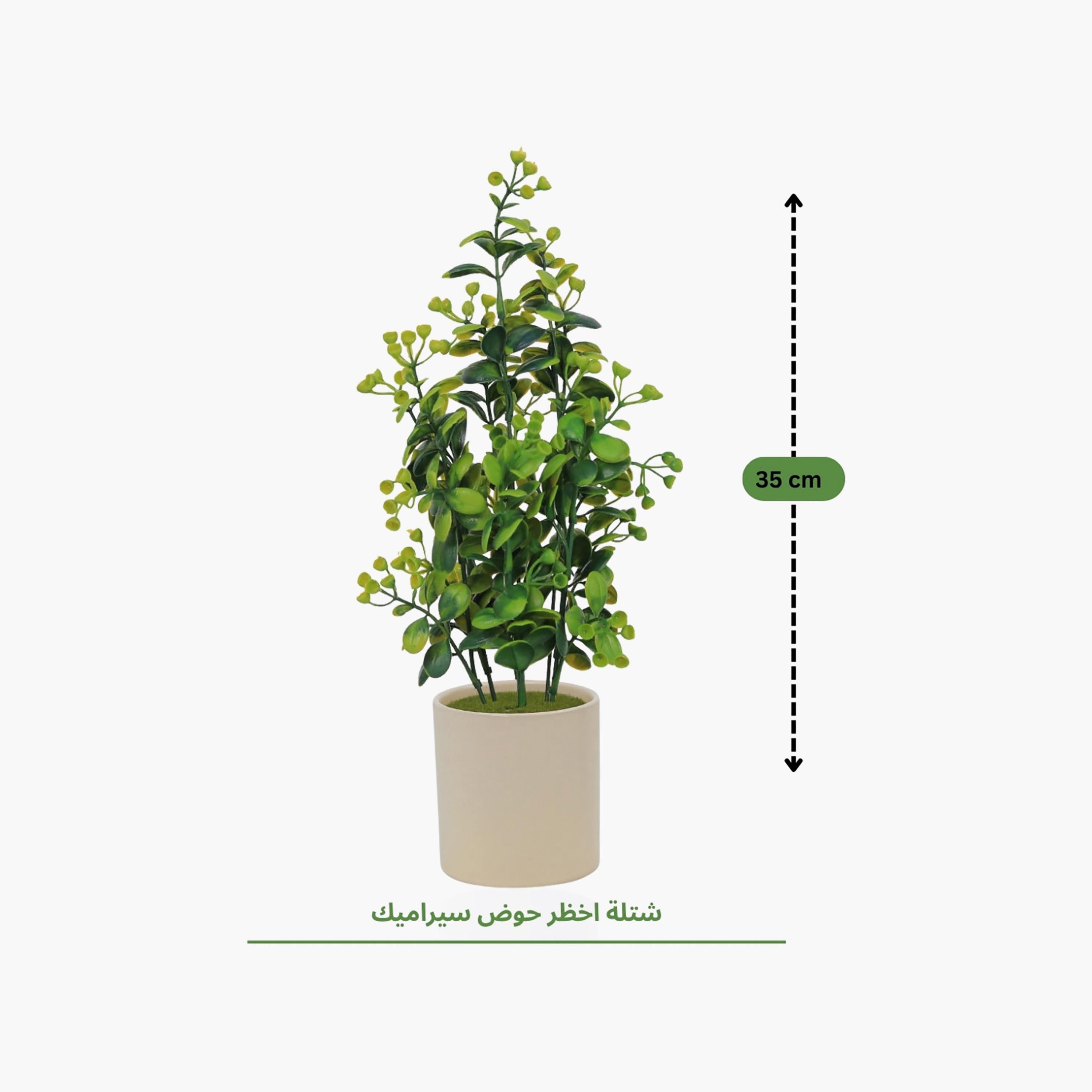 نبات أوراق صناعي مع أصيص سيراميك من ماريا هومز-household-gardenandoutdoor-artificialflowersandplants-flowers-image-4