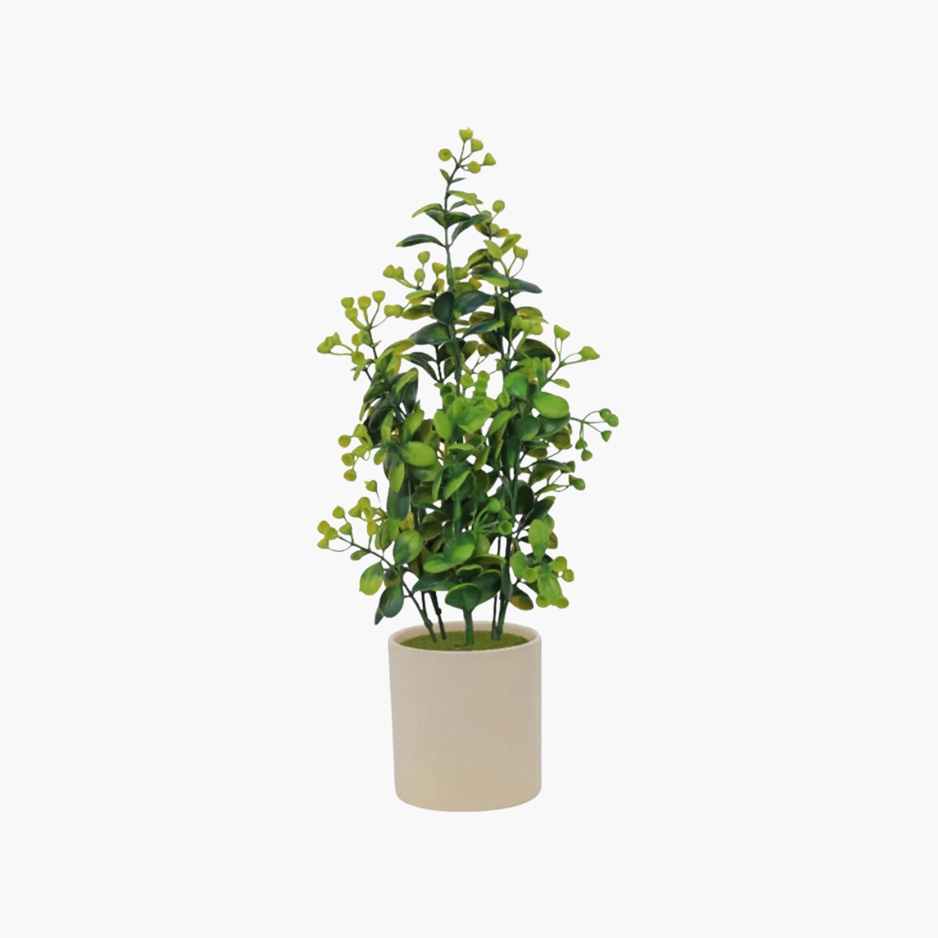نبات أوراق صناعي مع أصيص سيراميك من ماريا هومز-household-gardenandoutdoor-artificialflowersandplants-flowers-image-2