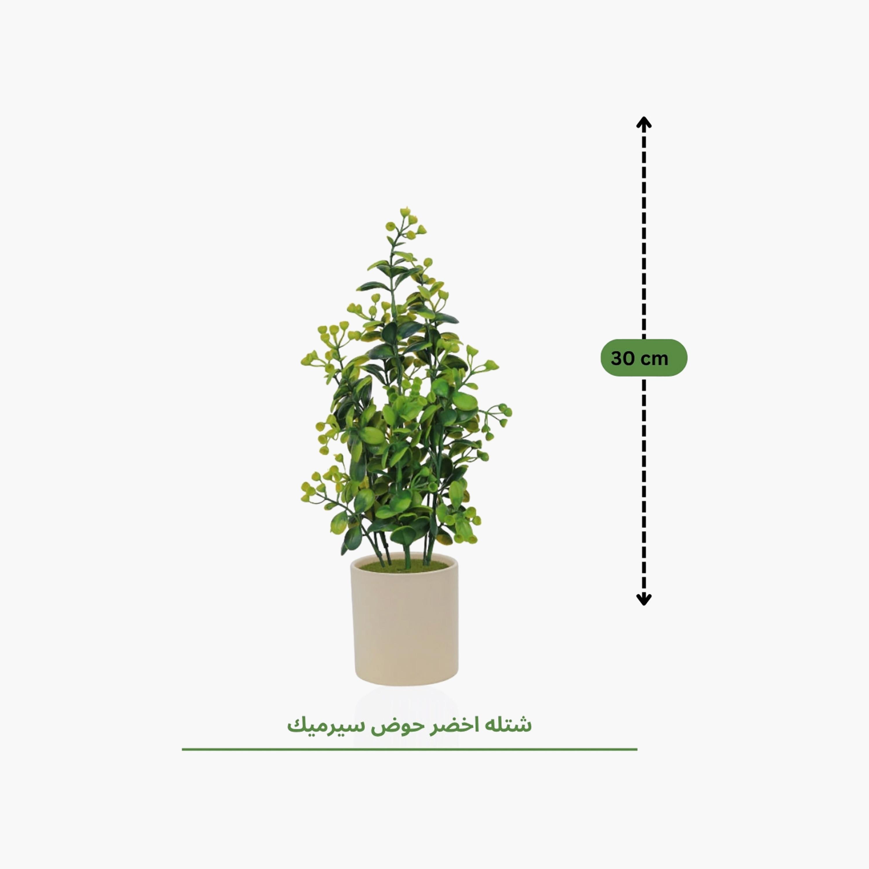 نبات أوراق صناعي مع أصيص سيراميك من ماريا هومز-household-gardenandoutdoor-artificialflowersandplants-flowers-image-4