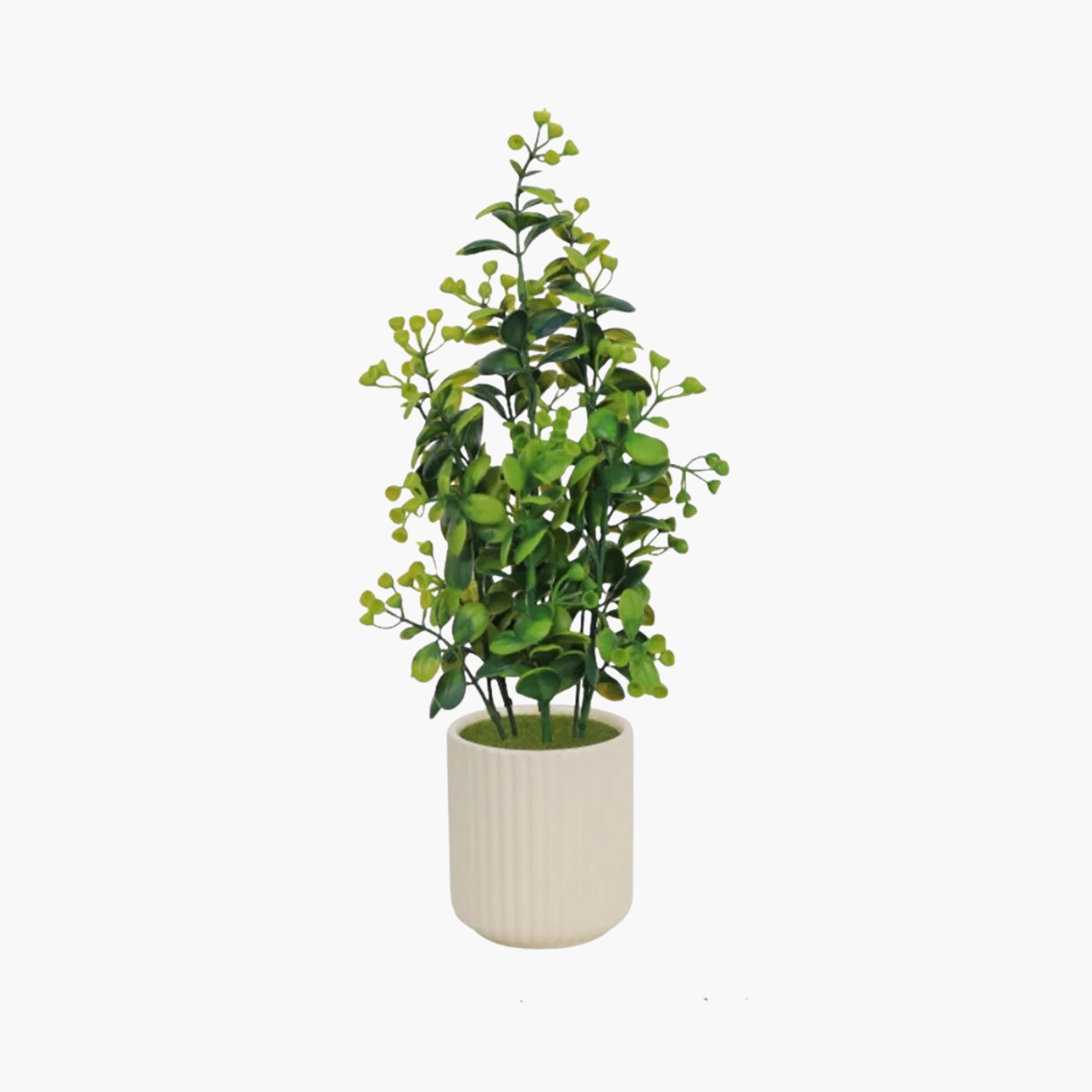 نبات أوراق صناعي مع أصيص سيراميك من ماريا هومز-household-gardenandoutdoor-artificialflowersandplants-flowers-image-2