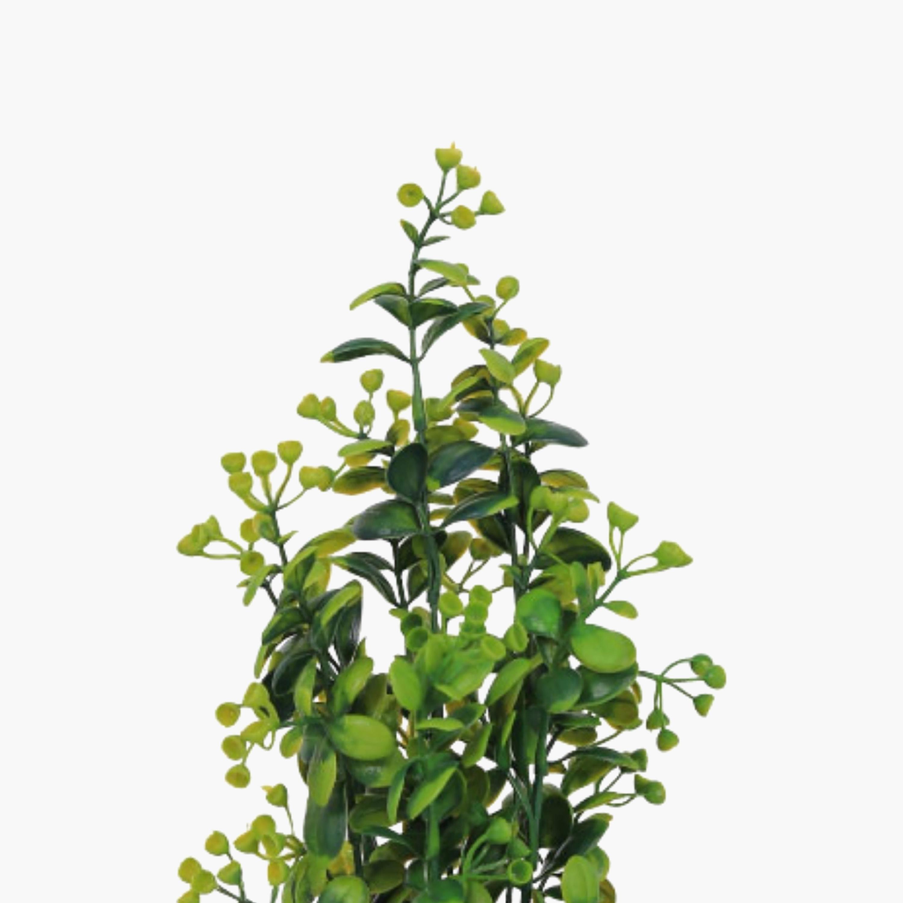 نبات أوراق صناعي مع أصيص سيراميك من ماريا هومز-household-gardenandoutdoor-artificialflowersandplants-flowers-image-3