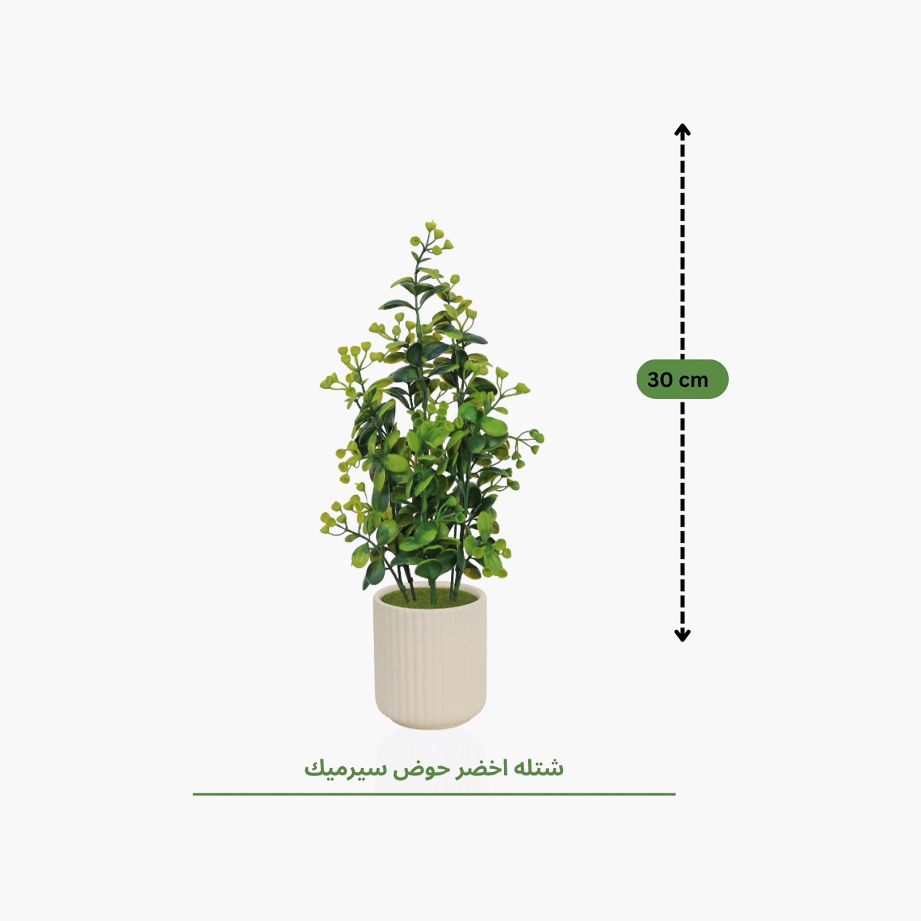 نبات أوراق صناعي مع أصيص سيراميك من ماريا هومز-household-gardenandoutdoor-artificialflowersandplants-flowers-image-4