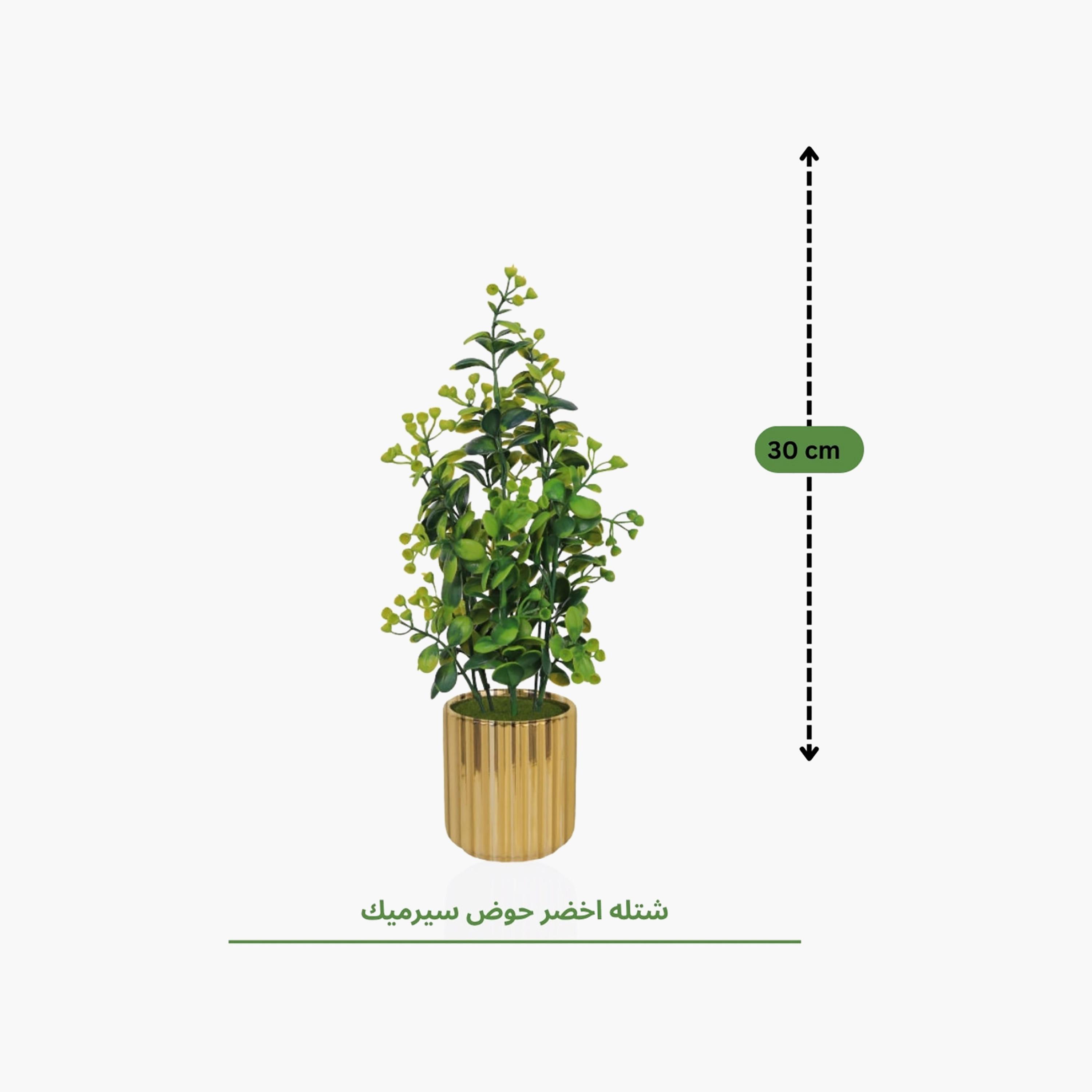 نبات أوراق صناعي ذهبي مع أصيص سيراميك من ماريا هومز-household-gardenandoutdoor-artificialflowersandplants-flowers-image-4