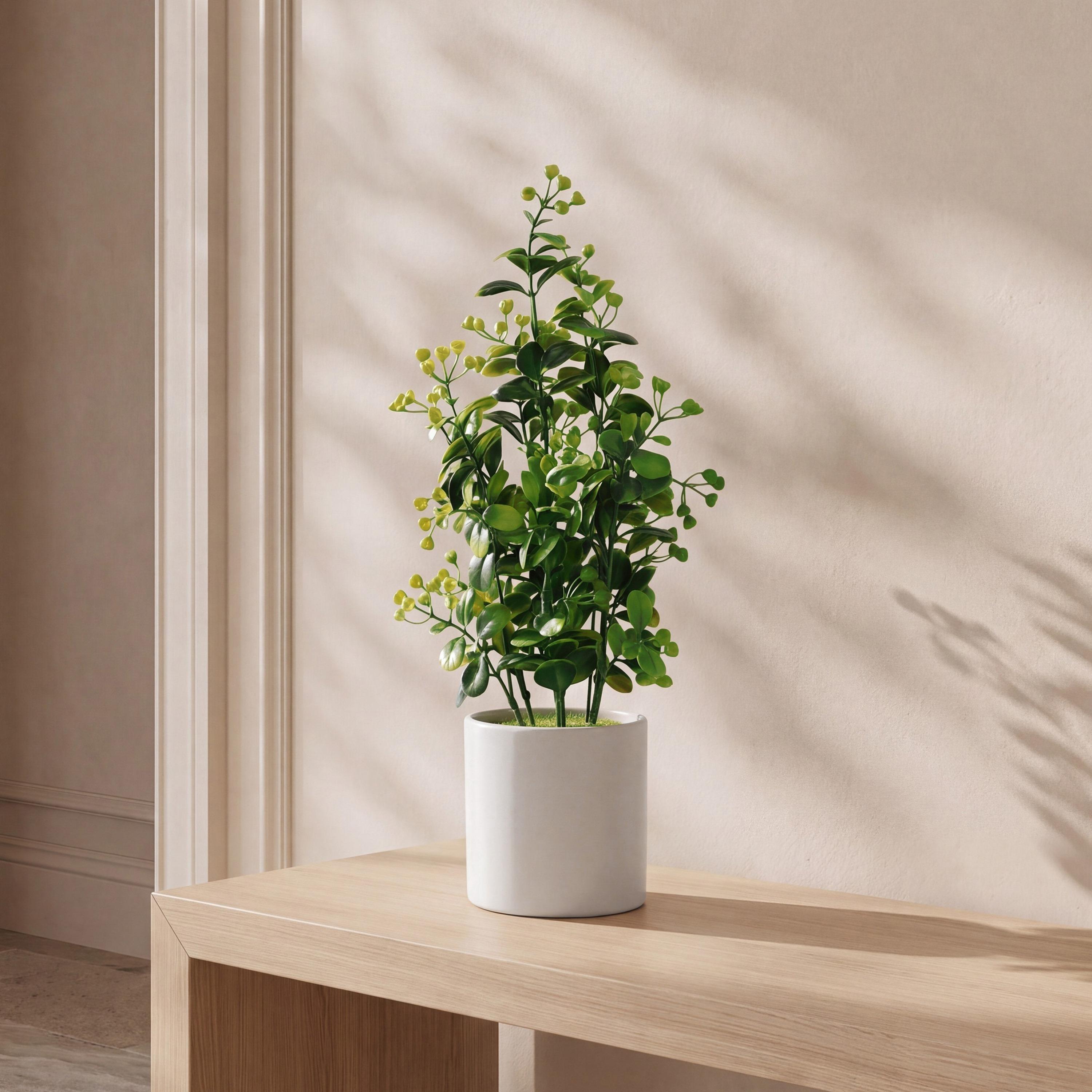 نبات أوراق صناعي مع أصيص سيراميك من ماريا هومز-household-gardenandoutdoor-artificialflowersandplants-flowers-image-1