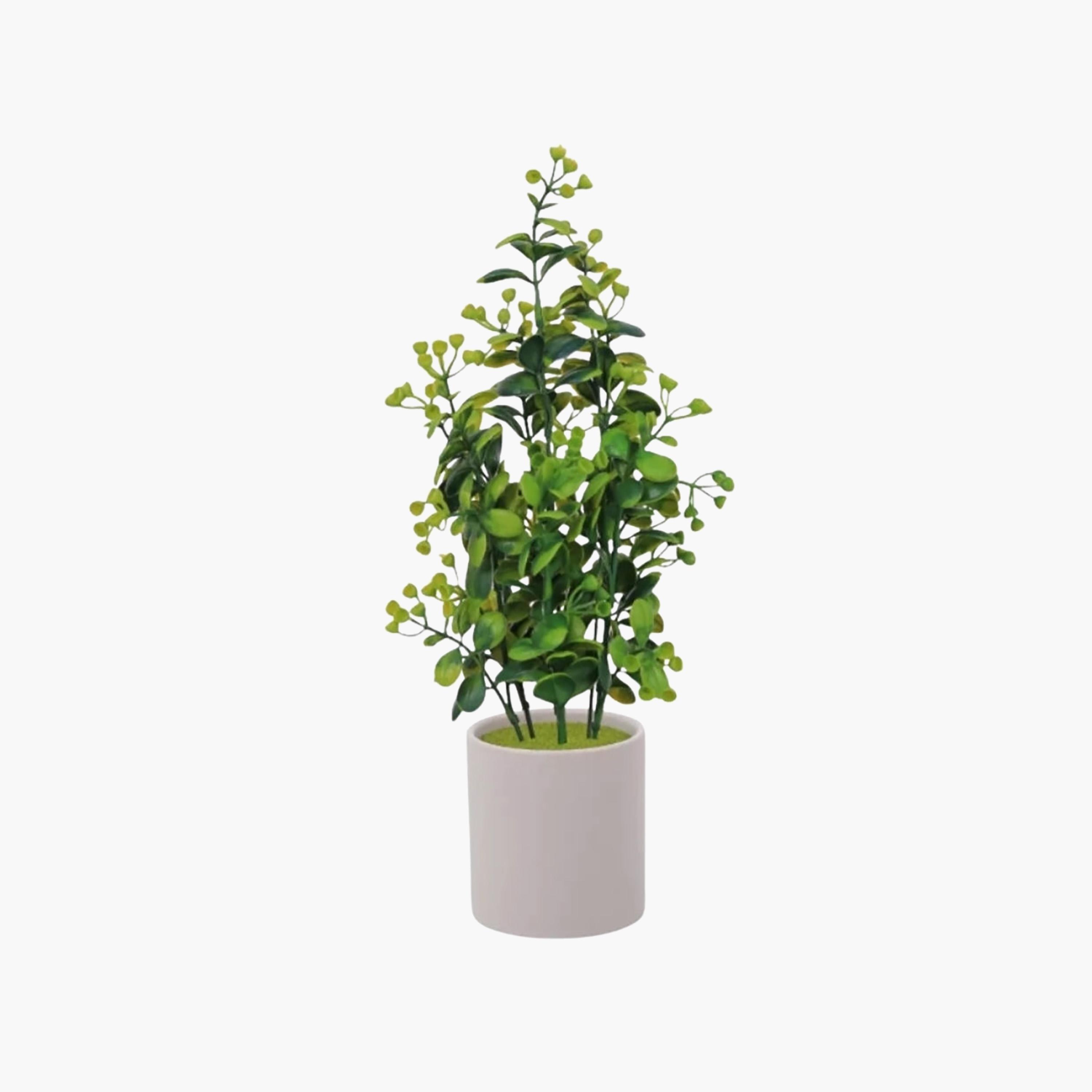 نبات أوراق صناعي مع أصيص سيراميك من ماريا هومز-household-gardenandoutdoor-artificialflowersandplants-flowers-image-2