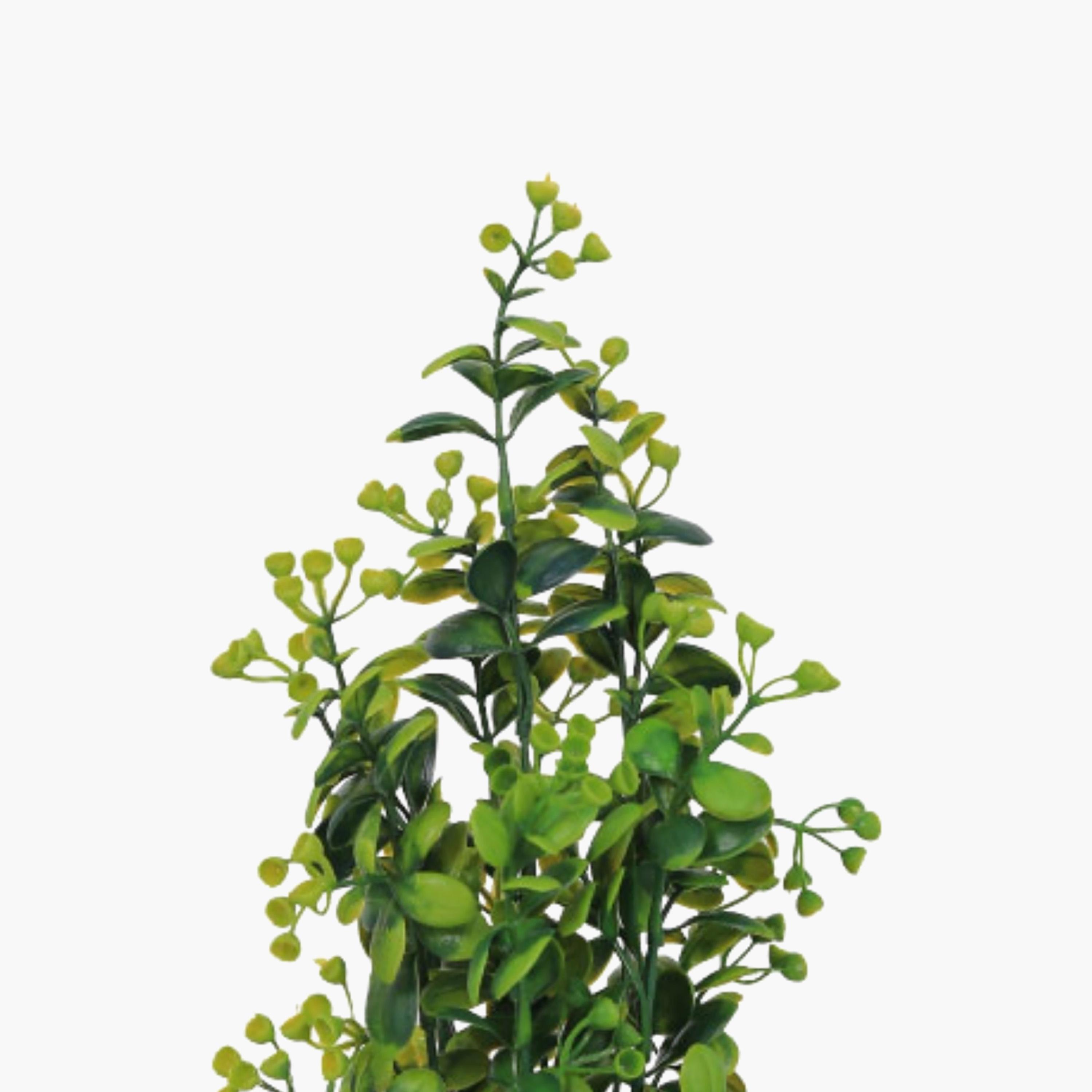 نبات أوراق صناعي مع أصيص سيراميك من ماريا هومز-household-gardenandoutdoor-artificialflowersandplants-flowers-image-3