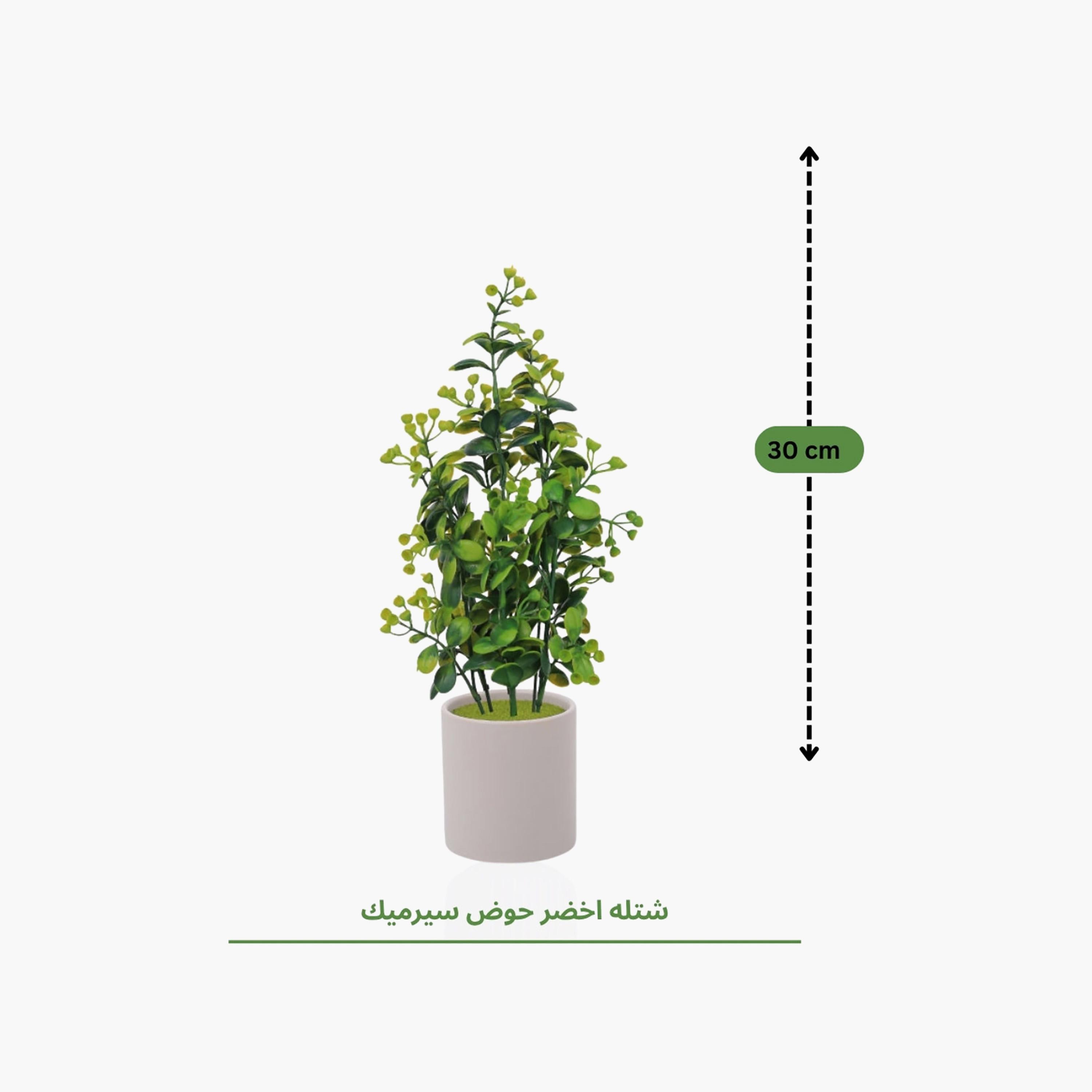 نبات أوراق صناعي مع أصيص سيراميك من ماريا هومز-household-gardenandoutdoor-artificialflowersandplants-flowers-image-4