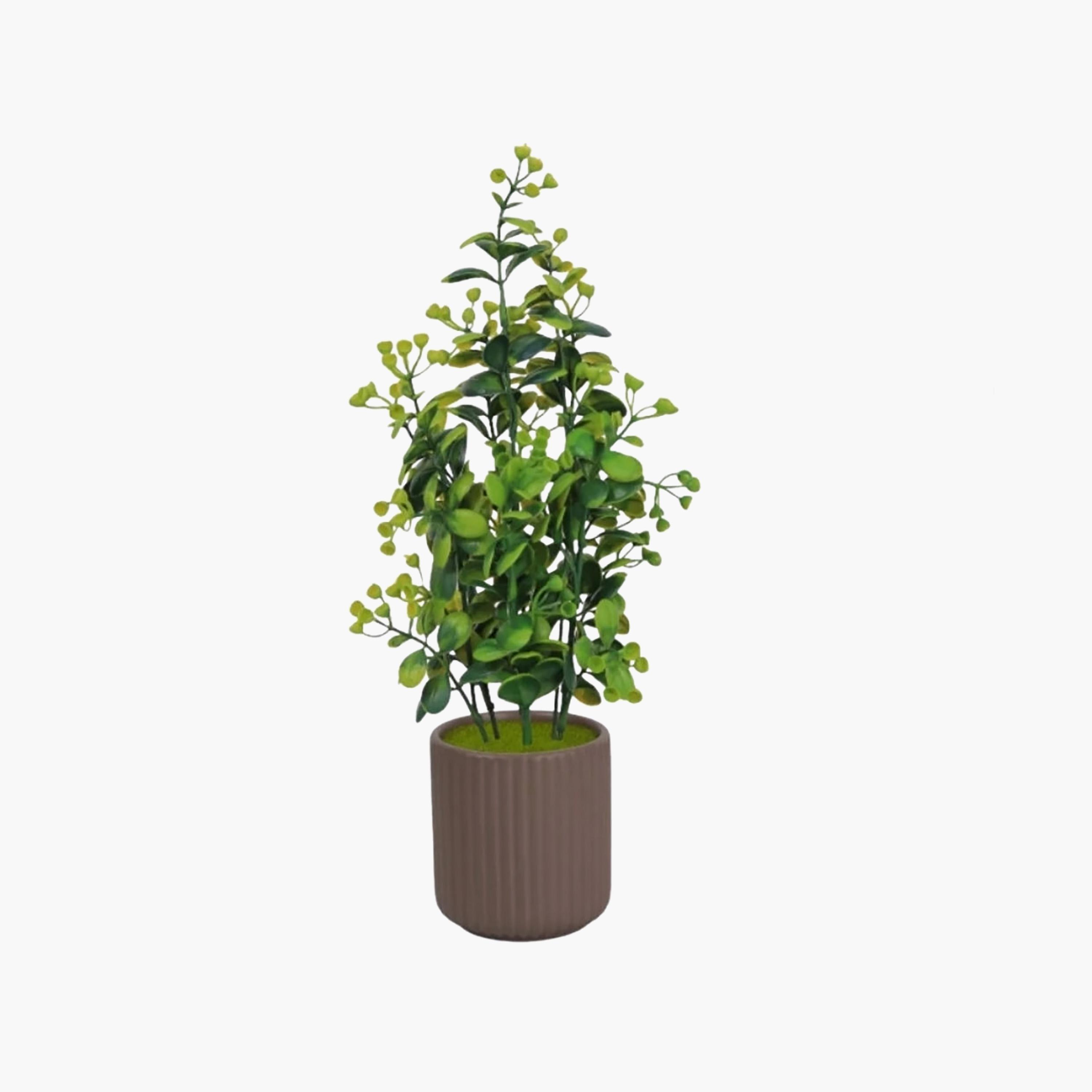 نبات أوراق صناعي مع أصيص سيراميك من ماريا هومز-household-gardenandoutdoor-artificialflowersandplants-flowers-image-2