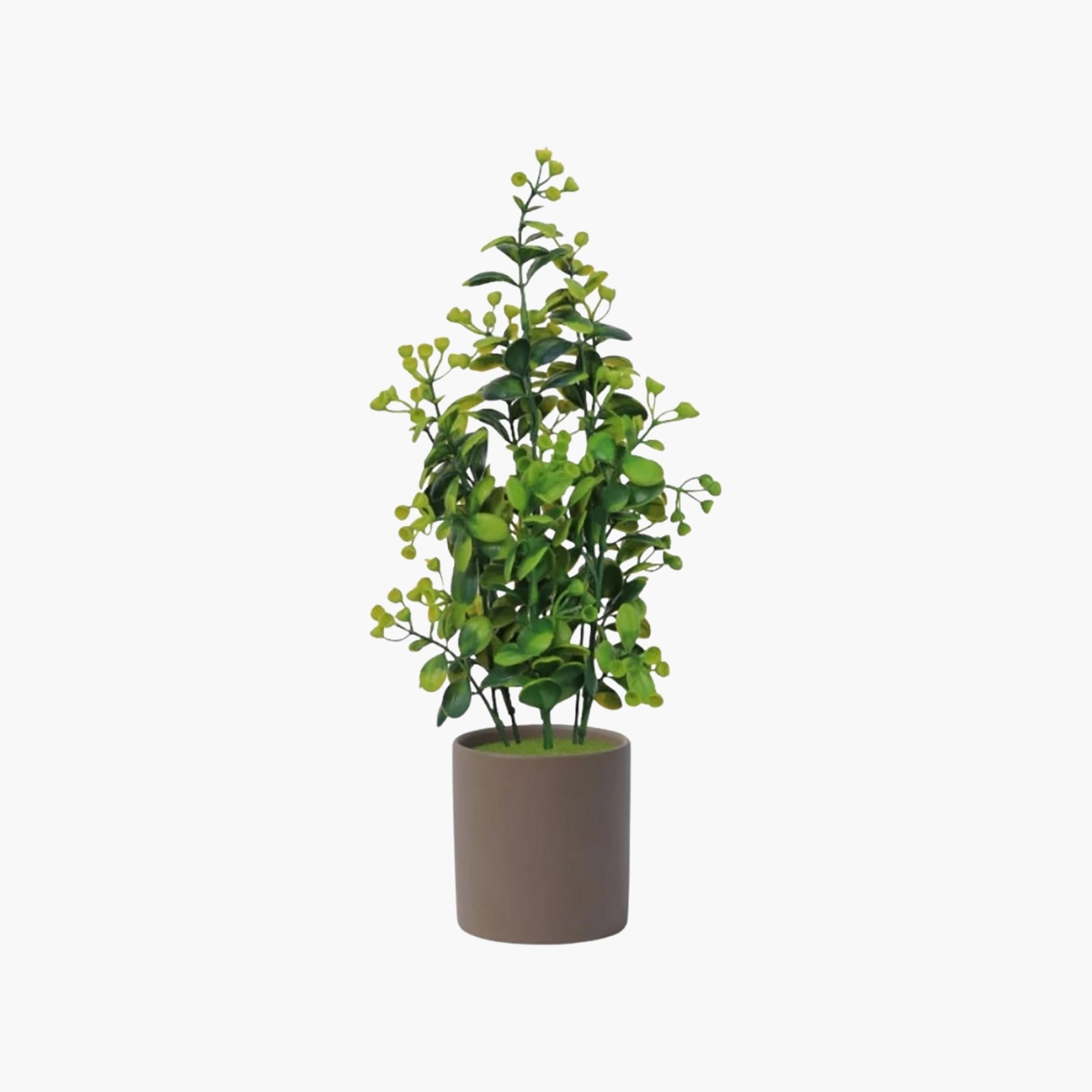 نبات أوراق صناعي مع أصيص سيراميك من ماريا هومز-household-gardenandoutdoor-artificialflowersandplants-flowers-image-2