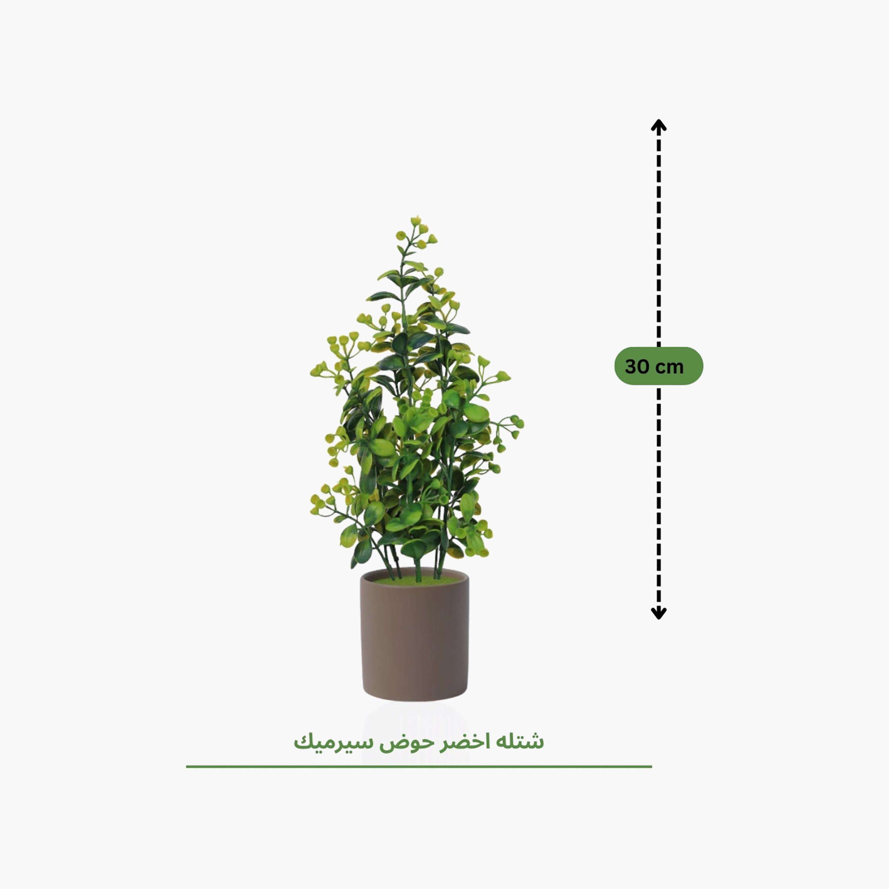 نبات أوراق صناعي مع أصيص سيراميك من ماريا هومز-household-gardenandoutdoor-artificialflowersandplants-flowers-image-4