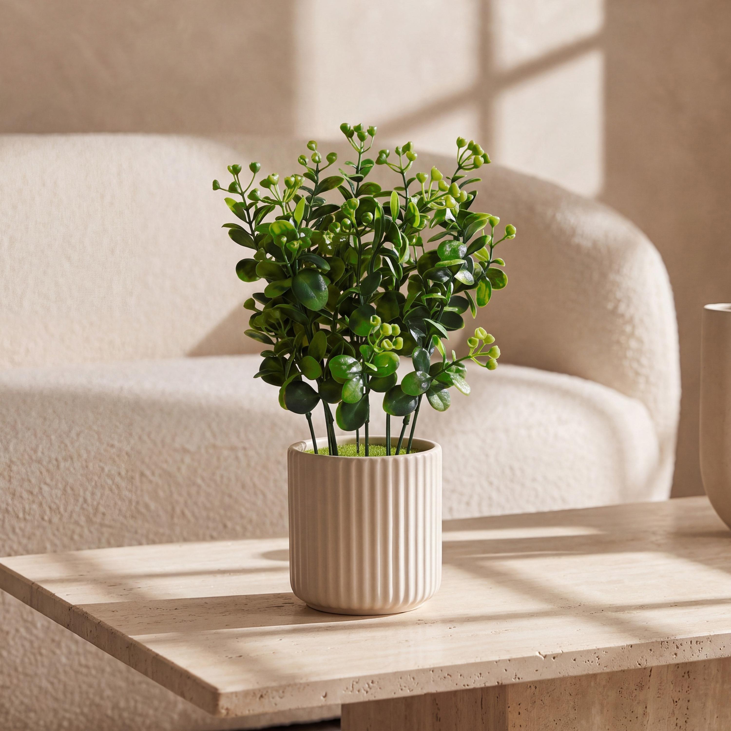 نبتة أوراق صناعية بيج مع أصيص سيراميك من ماريا هومز-household-gardenandoutdoor-artificialflowersandplants-flowers-image-1