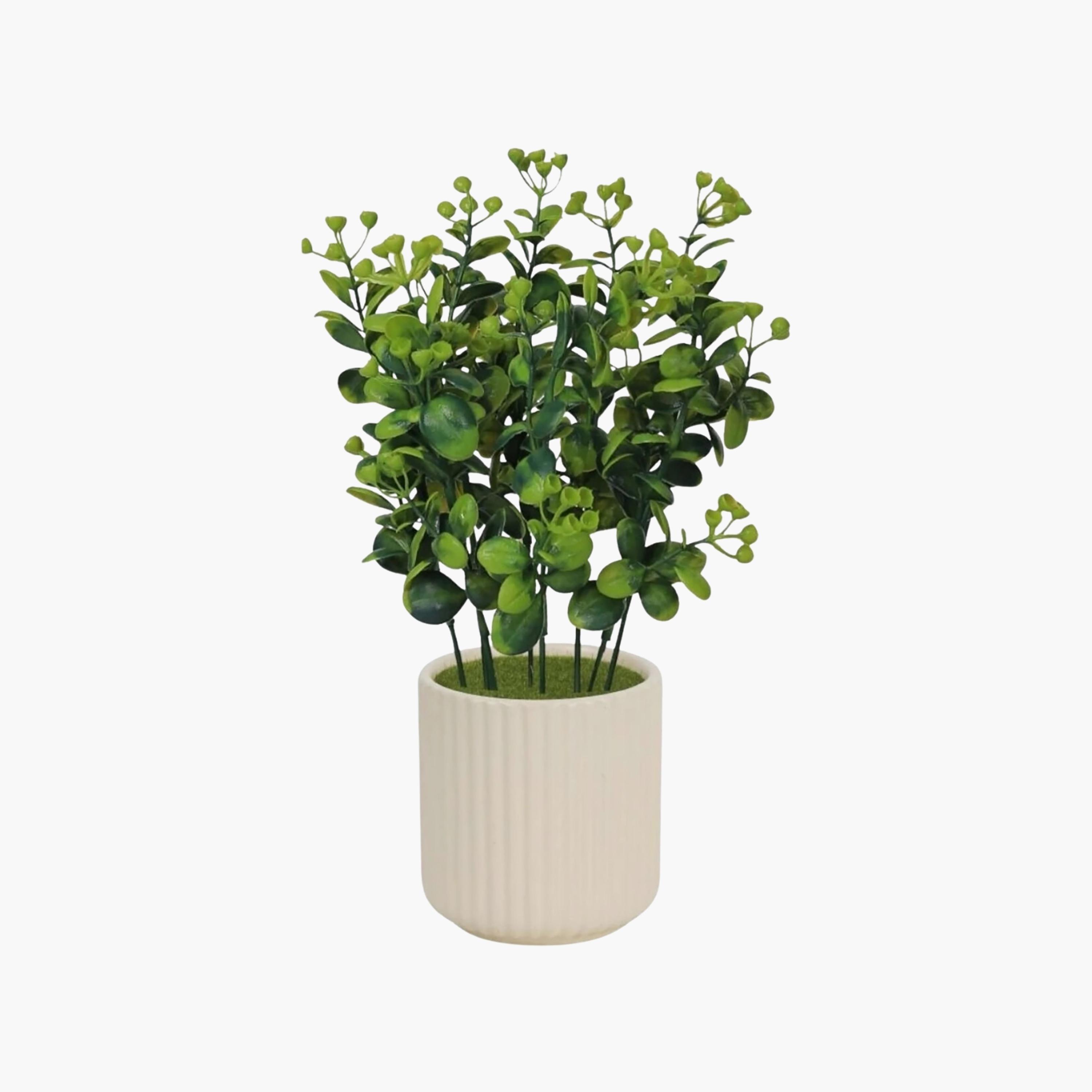 نبتة أوراق صناعية بيج مع أصيص سيراميك من ماريا هومز-household-gardenandoutdoor-artificialflowersandplants-flowers-image-2