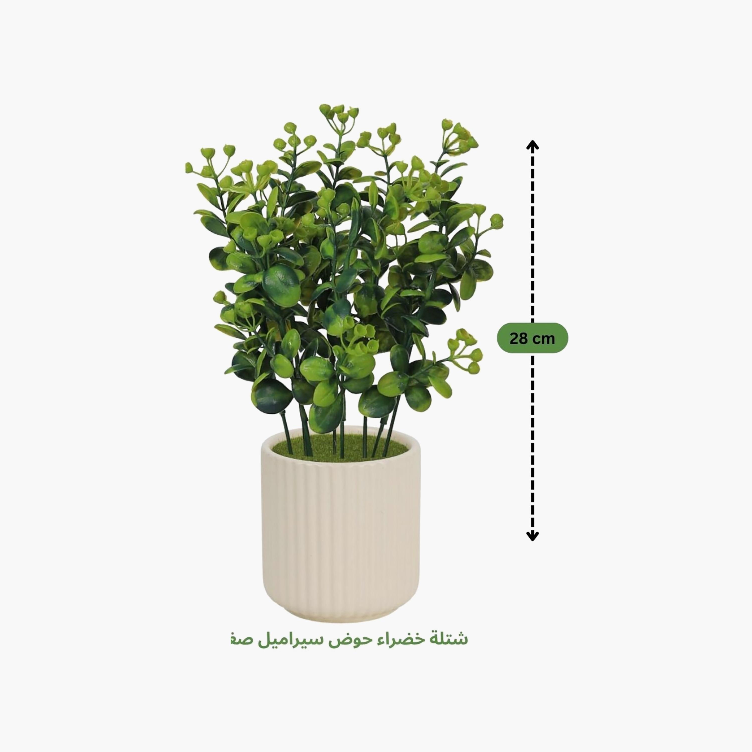 نبتة أوراق صناعية بيج مع أصيص سيراميك من ماريا هومز-household-gardenandoutdoor-artificialflowersandplants-flowers-image-4