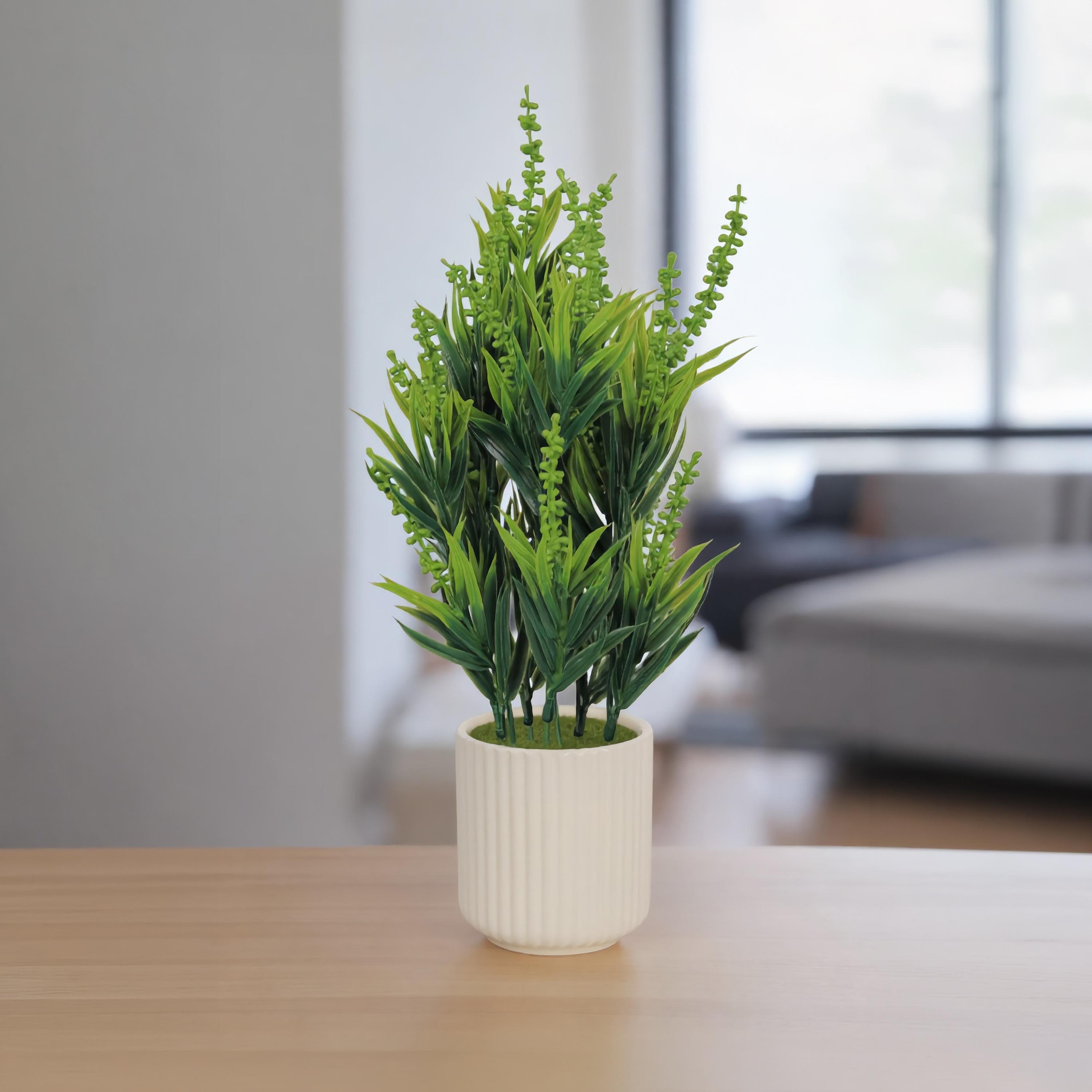 نبات أوراق صناعي مع أصيص سيراميك من ماريا هومز-household-gardenandoutdoor-artificialflowersandplants-flowers-image-1