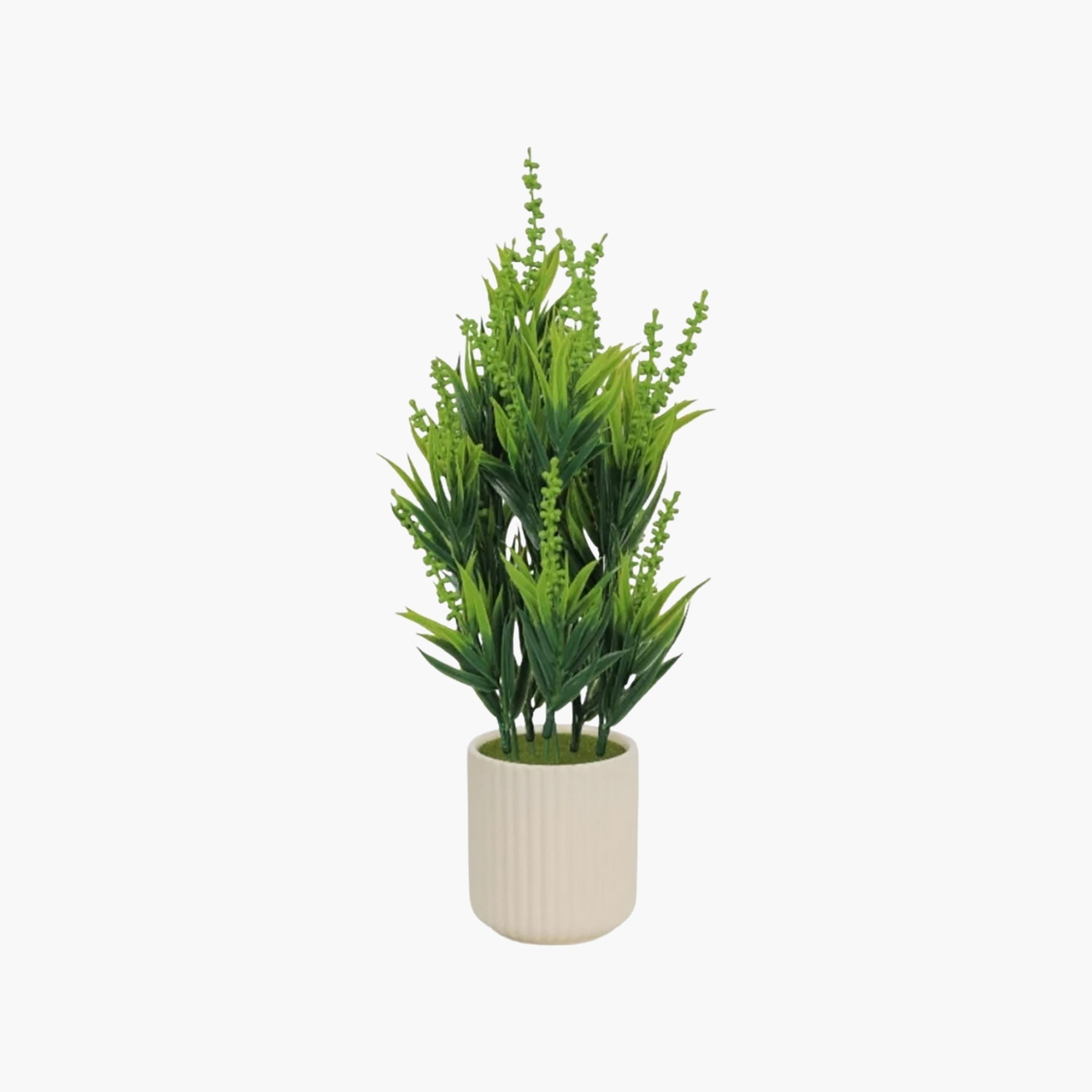 نبات أوراق صناعي مع أصيص سيراميك من ماريا هومز-household-gardenandoutdoor-artificialflowersandplants-flowers-image-2