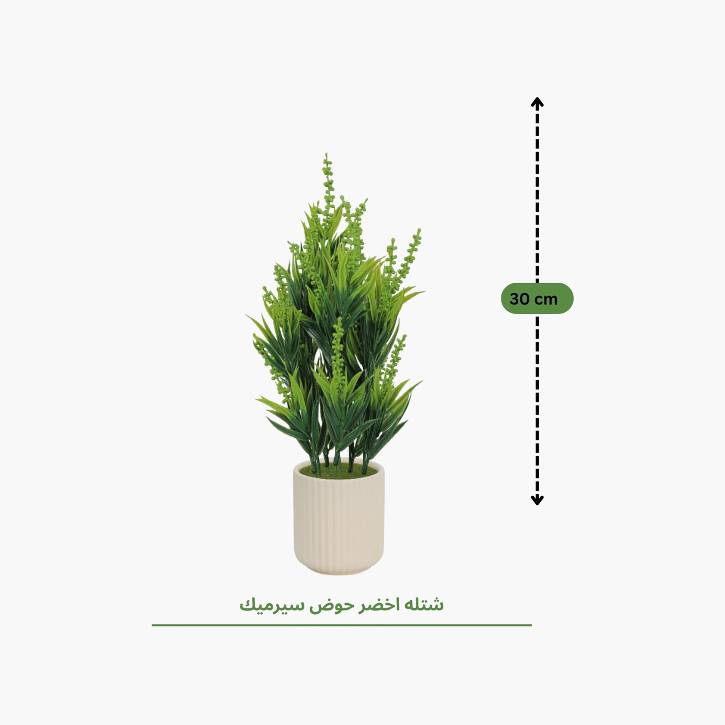 نبات أوراق صناعي مع أصيص سيراميك من ماريا هومز-household-gardenandoutdoor-artificialflowersandplants-flowers-image-4