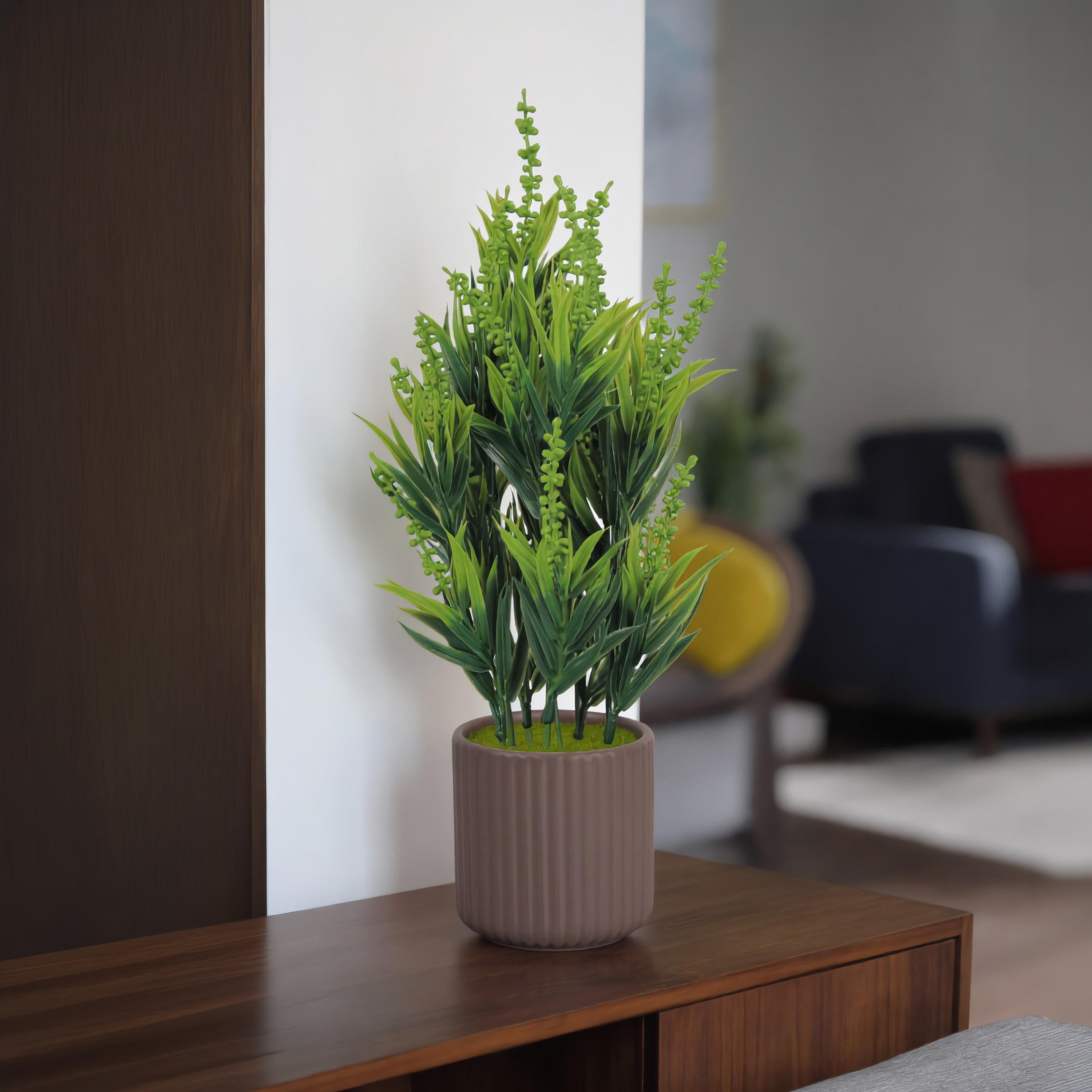 نبات أوراق صناعي مع أصيص سيراميك من ماريا هومز-household-gardenandoutdoor-artificialflowersandplants-flowers-image-1