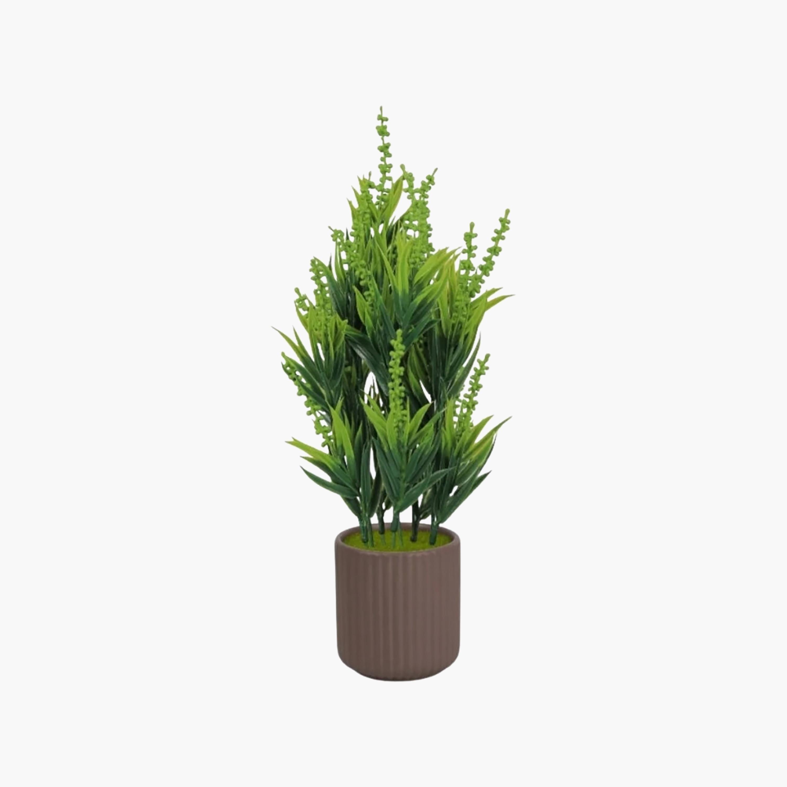 نبات أوراق صناعي مع أصيص سيراميك من ماريا هومز-household-gardenandoutdoor-artificialflowersandplants-flowers-image-2