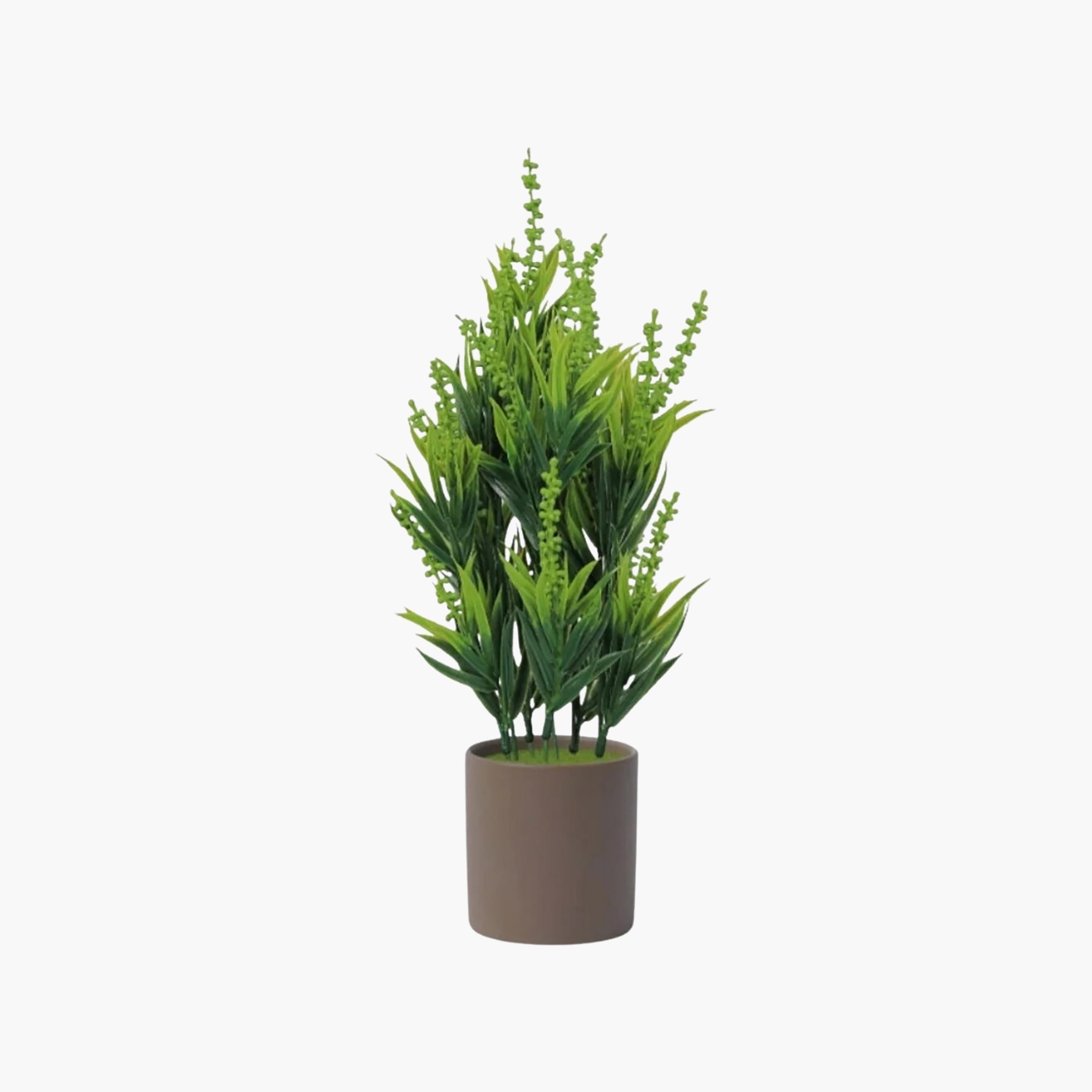 نبات أوراق صناعي مع أصيص سيراميك من ماريا هومز-household-gardenandoutdoor-artificialflowersandplants-flowers-image-2
