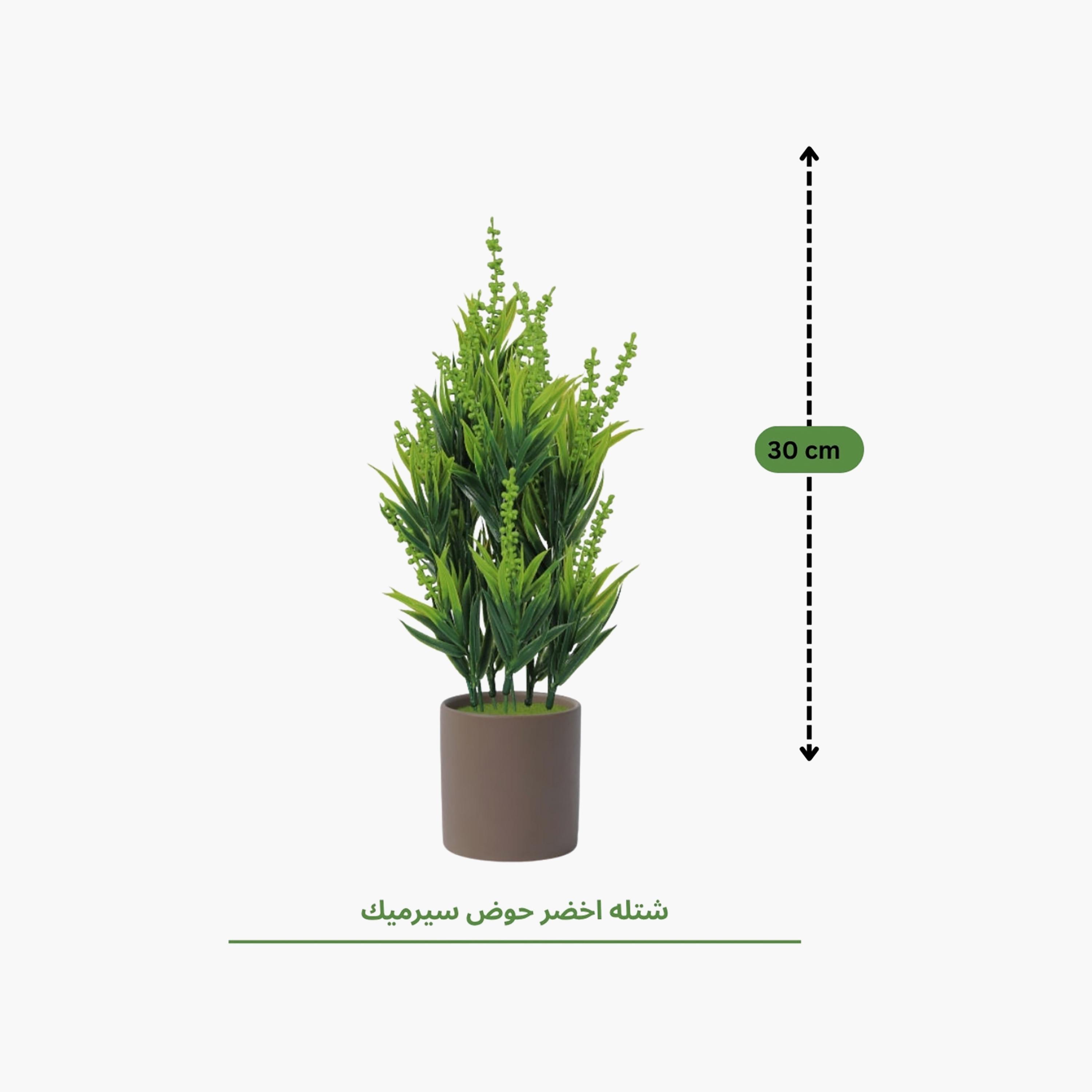 نبات أوراق صناعي مع أصيص سيراميك من ماريا هومز-household-gardenandoutdoor-artificialflowersandplants-flowers-image-4