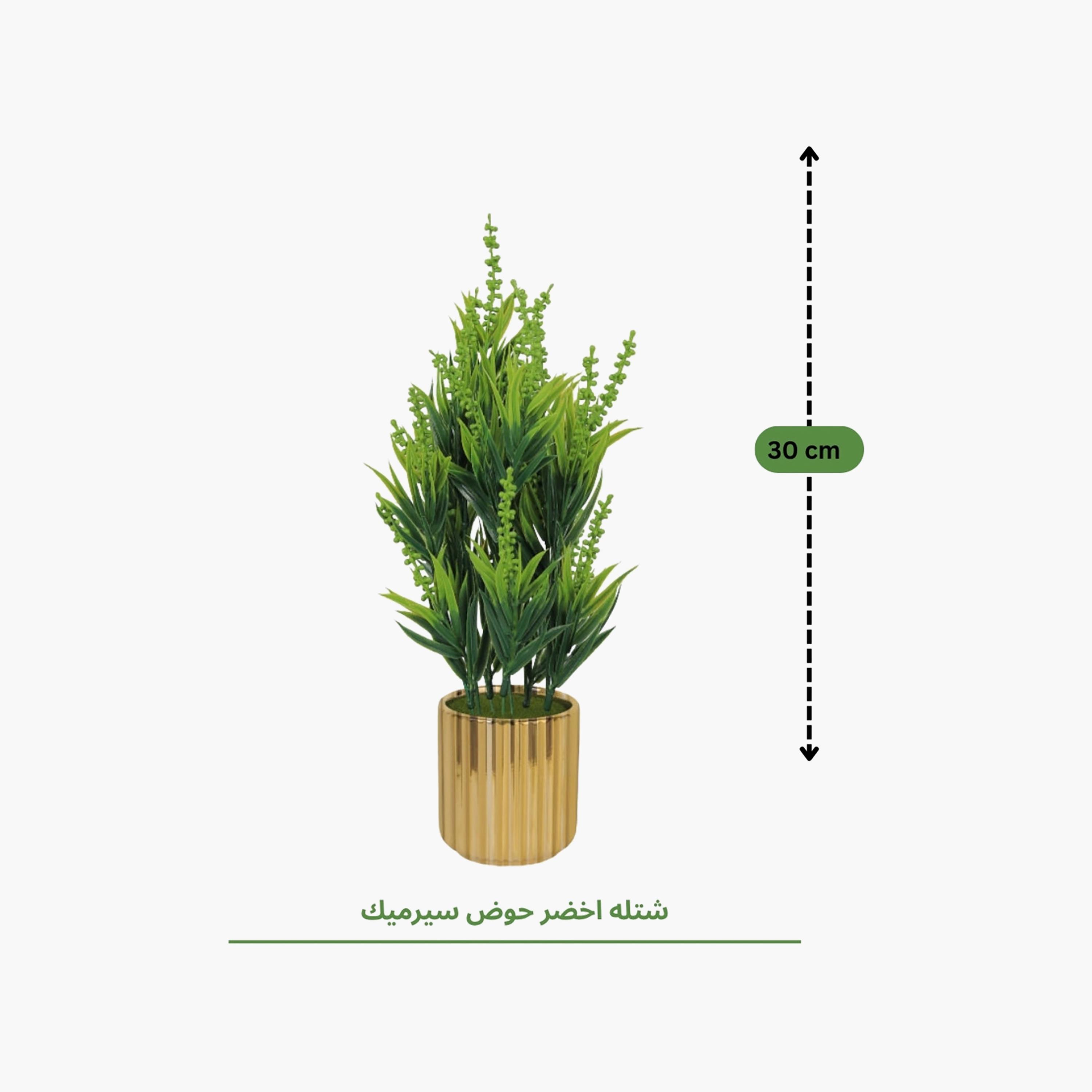 نبات أوراق صناعي مع أصيص سيراميك من ماريا هومز-household-gardenandoutdoor-artificialflowersandplants-flowers-image-4