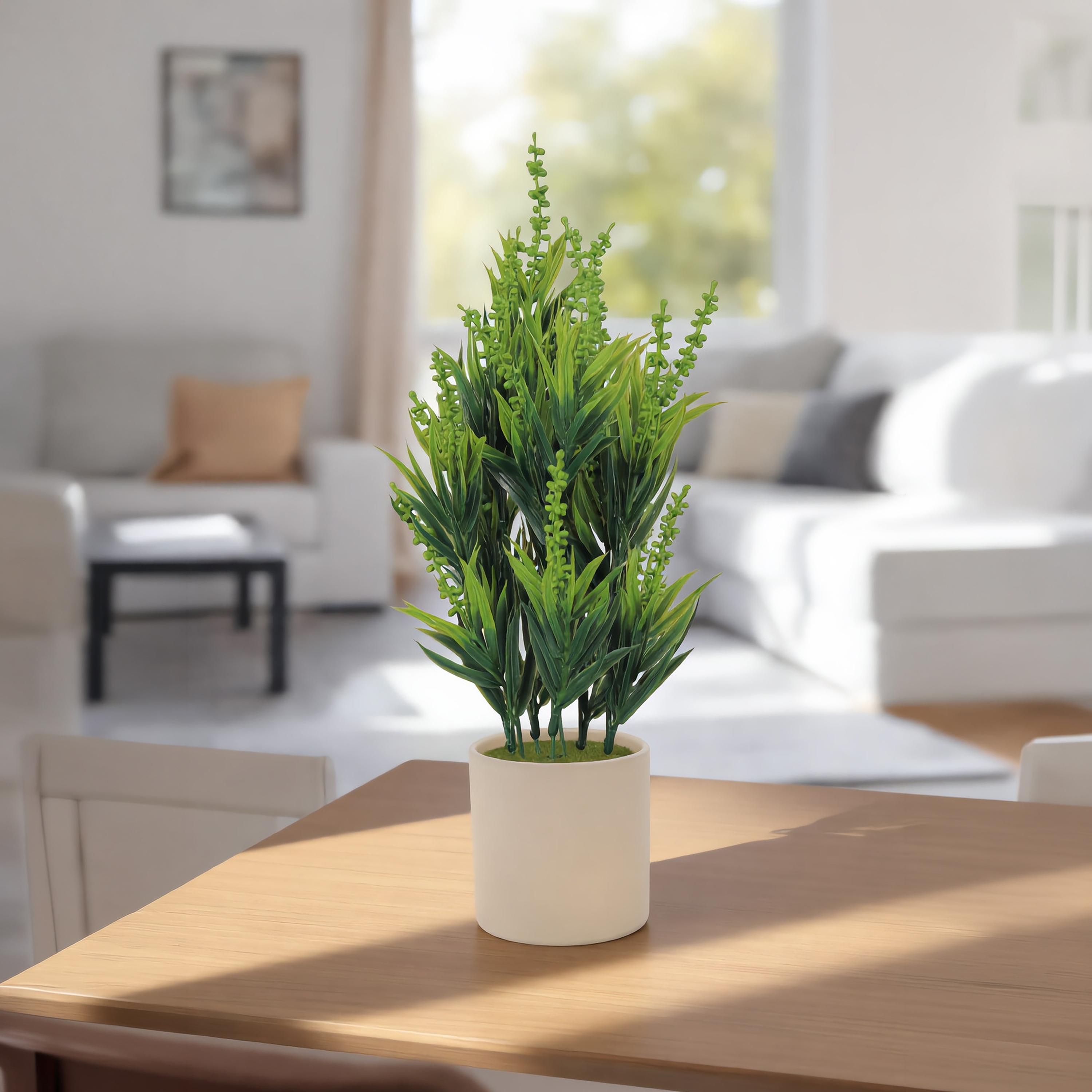 نبات أوراق صناعي مع أصيص سيراميك من ماريا هومز-household-gardenandoutdoor-artificialflowersandplants-flowers-image-1