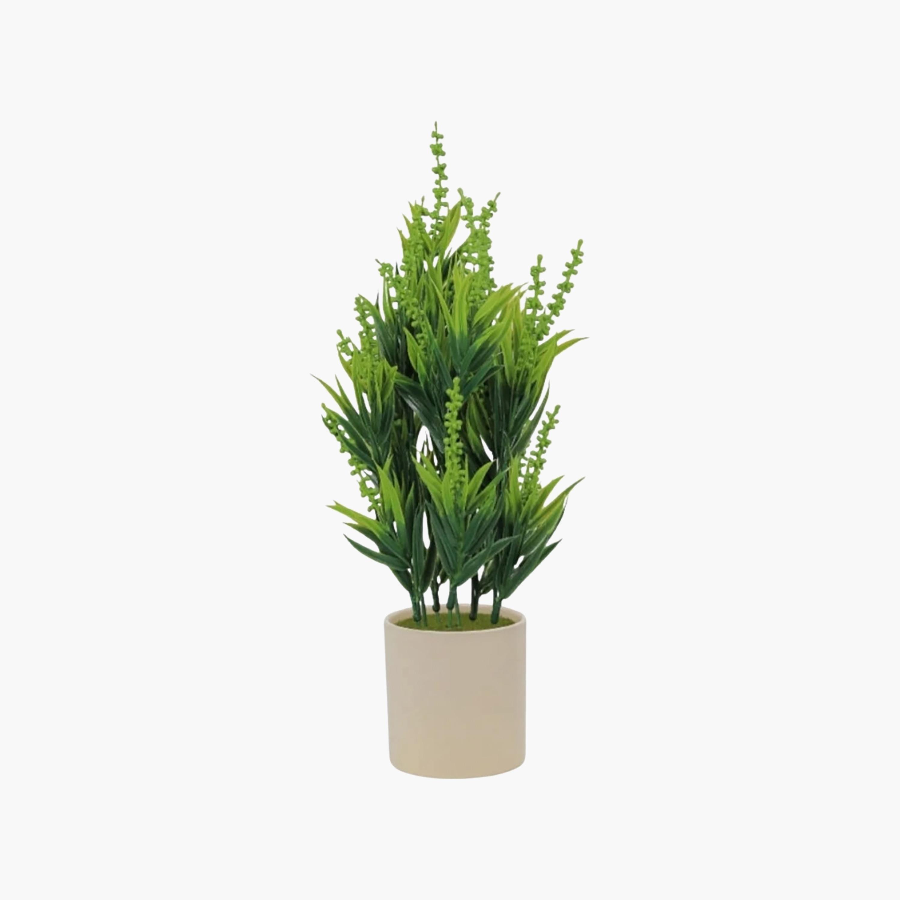 نبات أوراق صناعي مع أصيص سيراميك من ماريا هومز-household-gardenandoutdoor-artificialflowersandplants-flowers-image-2