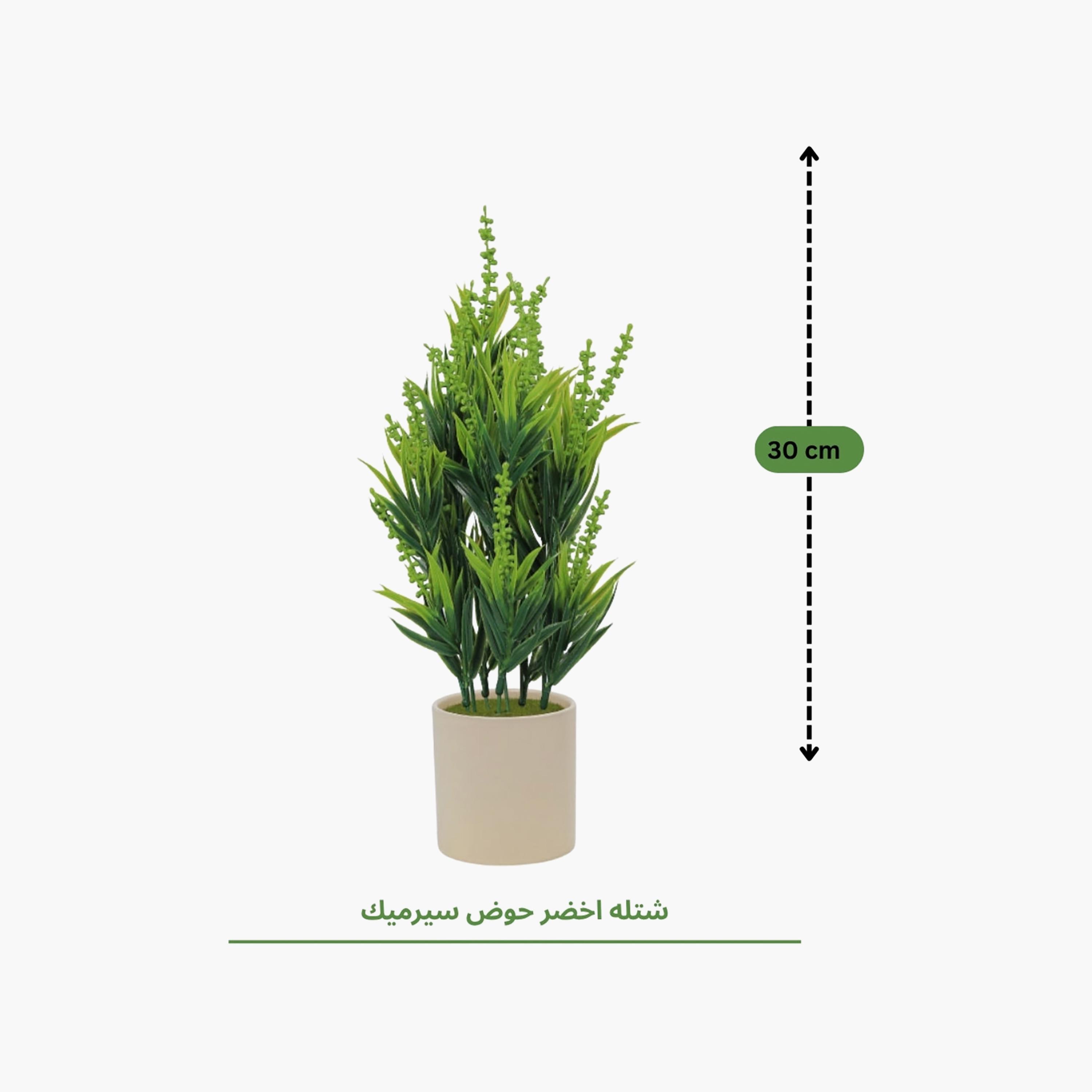 نبات أوراق صناعي مع أصيص سيراميك من ماريا هومز-household-gardenandoutdoor-artificialflowersandplants-flowers-image-4