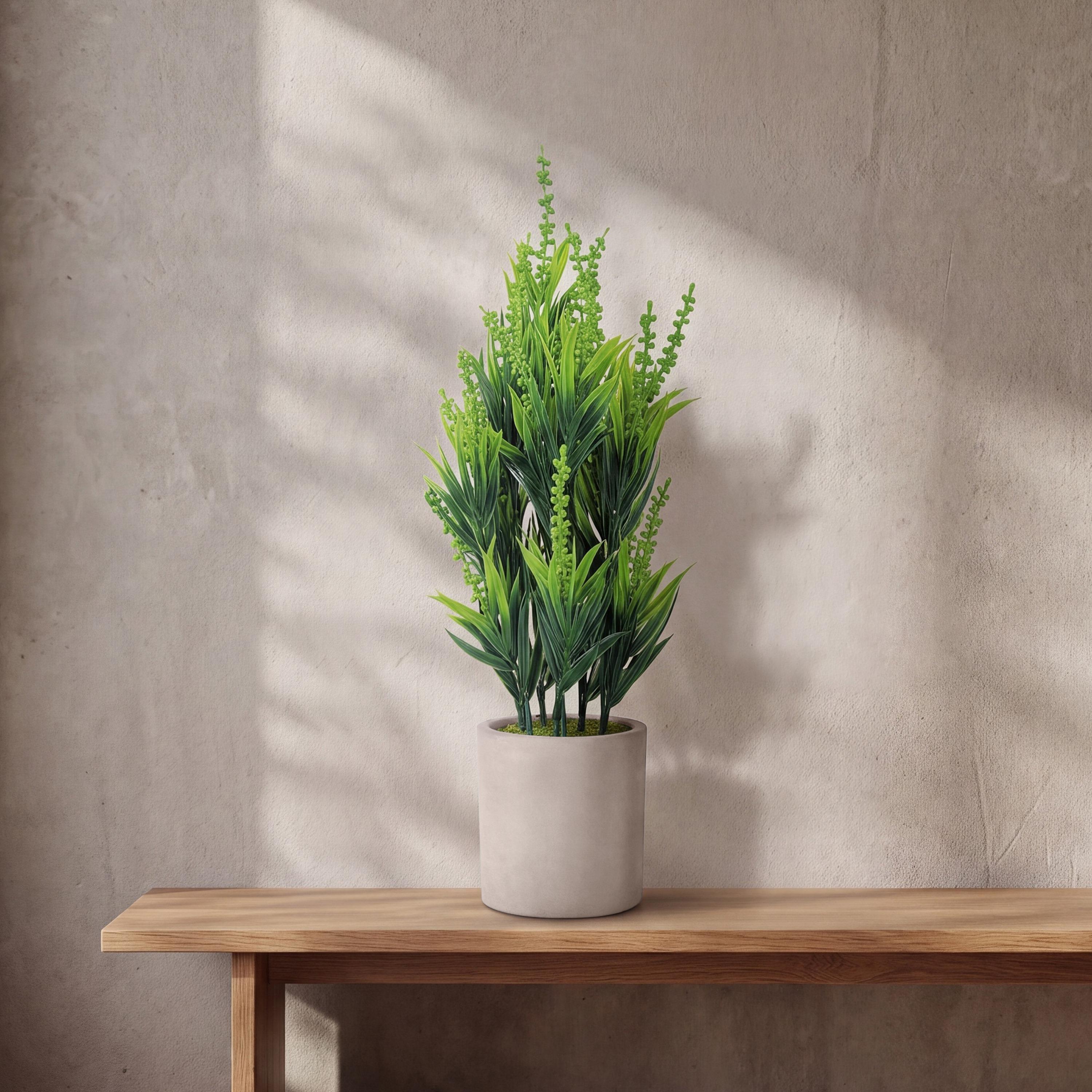 نبات أوراق صناعي مع أصيص سيراميك من ماريا هومز-household-gardenandoutdoor-artificialflowersandplants-flowers-image-1