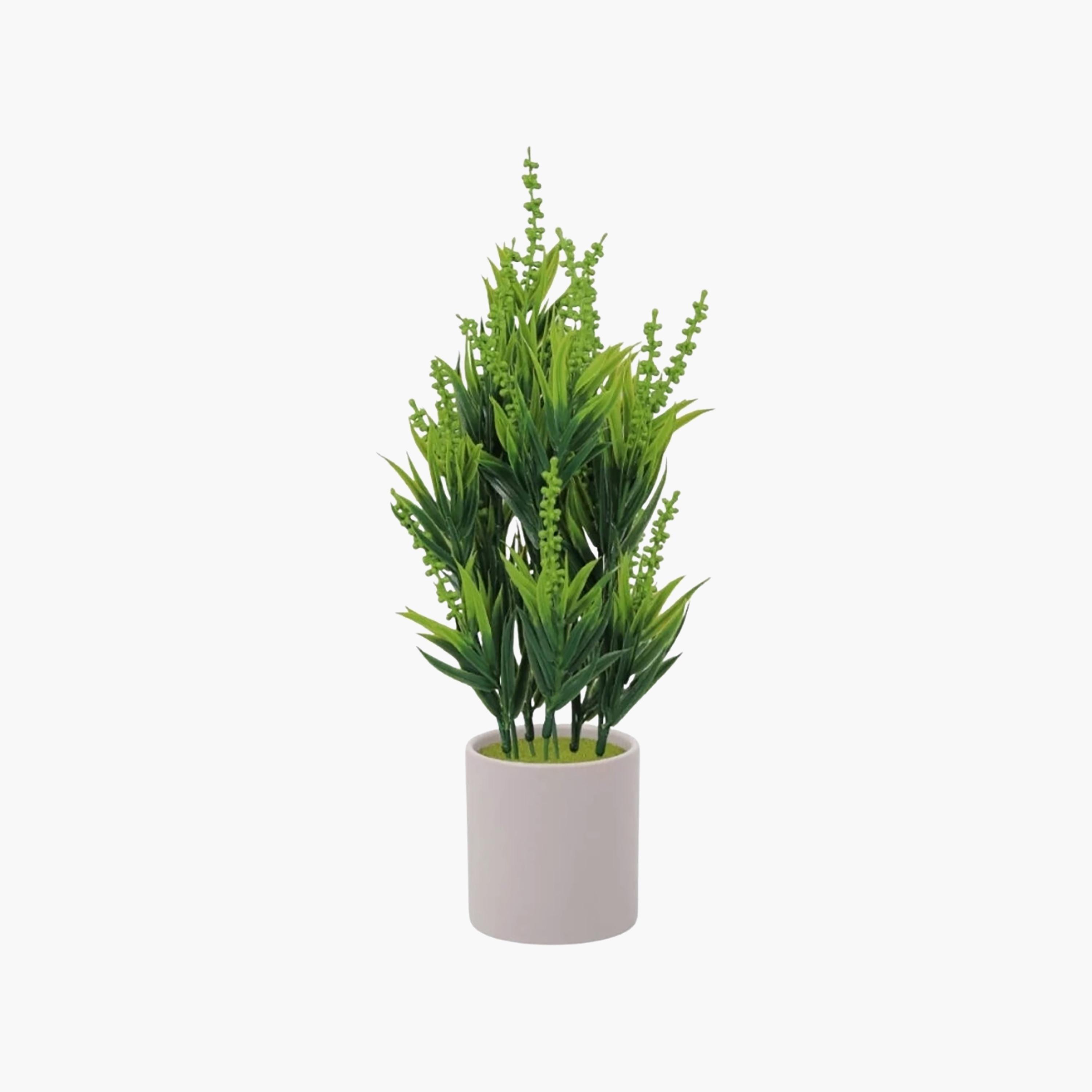 نبات أوراق صناعي مع أصيص سيراميك من ماريا هومز-household-gardenandoutdoor-artificialflowersandplants-flowers-image-2