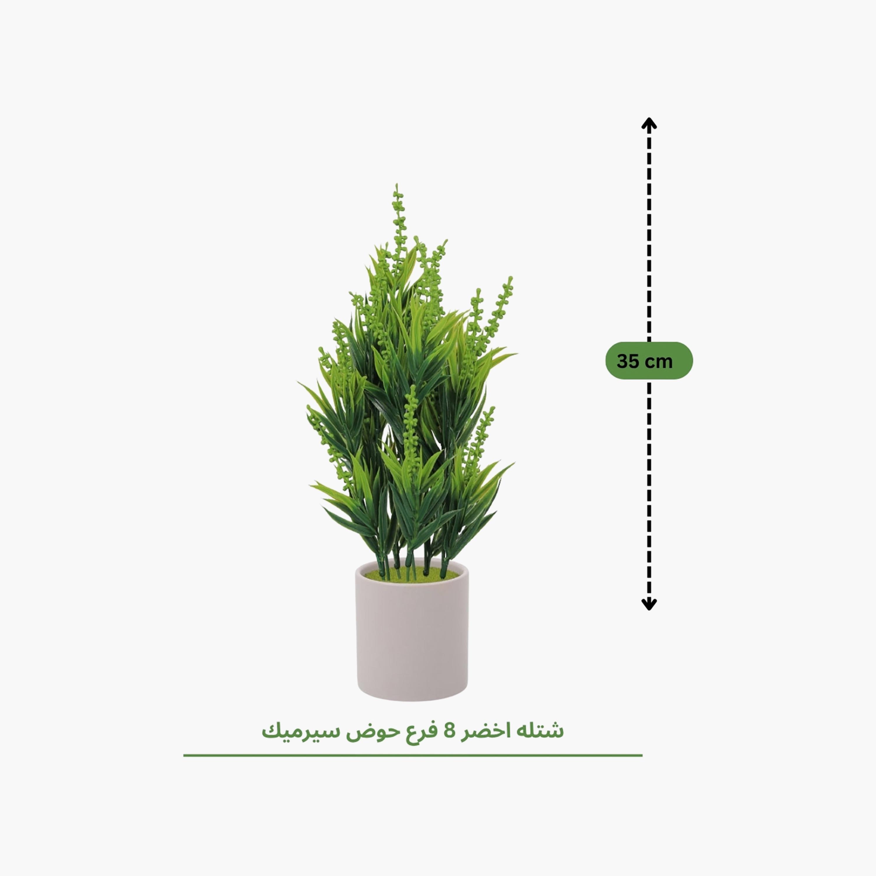 نبات أوراق صناعي مع أصيص سيراميك من ماريا هومز-household-gardenandoutdoor-artificialflowersandplants-flowers-image-4