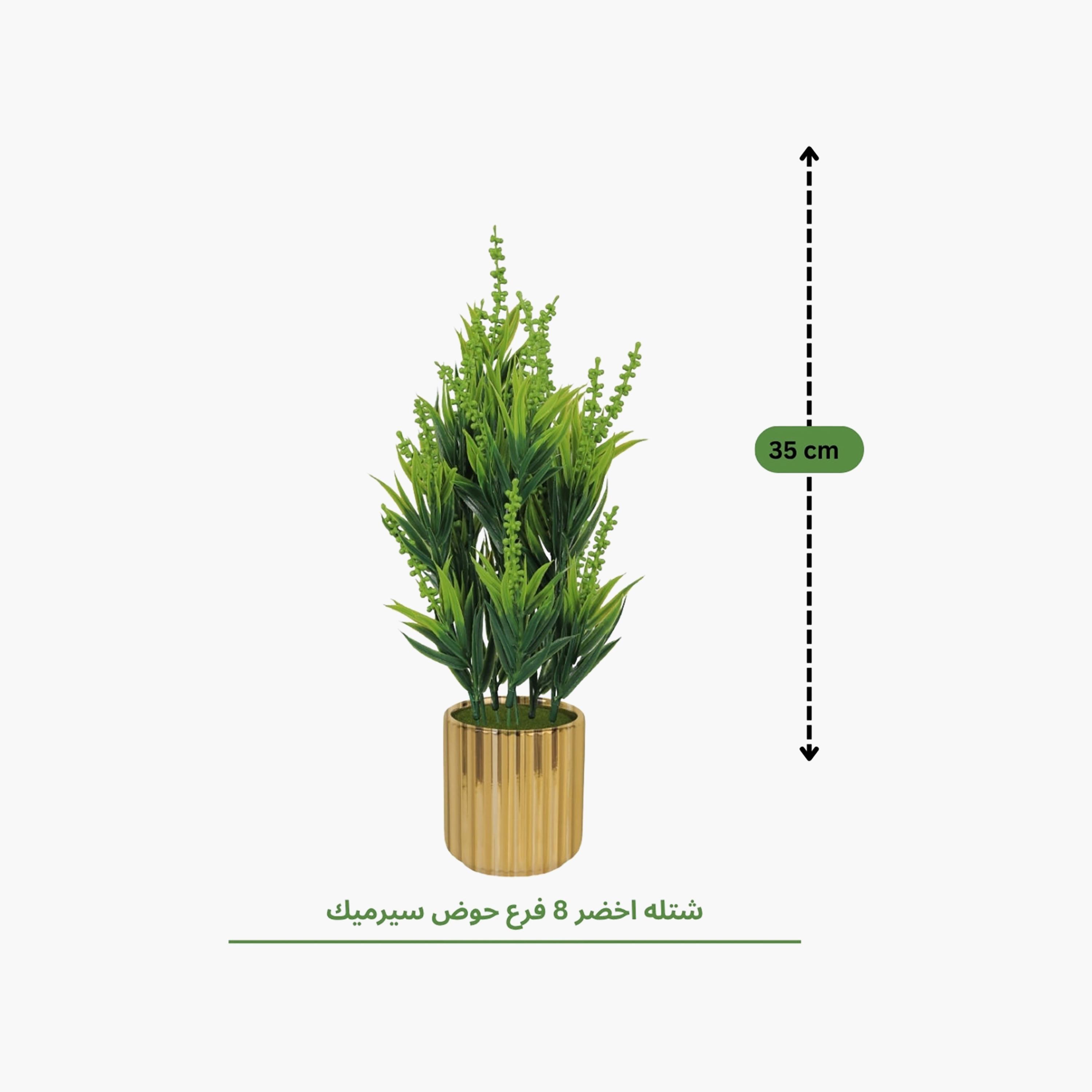 نبات أوراق صناعي مع أصيص سيراميك من ماريا هومز-household-gardenandoutdoor-artificialflowersandplants-flowers-image-4