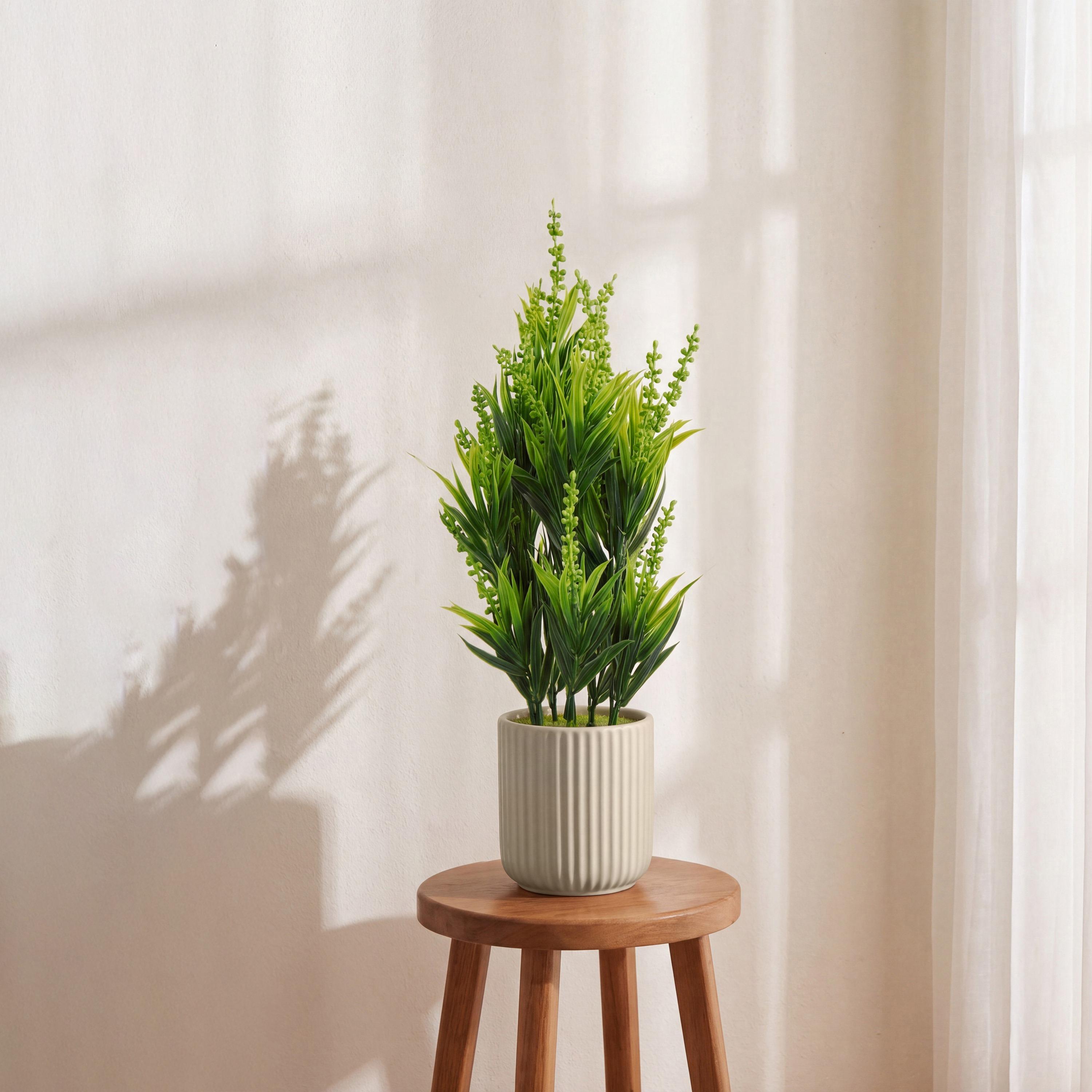 نبات أوراق صناعي مع أصيص سيراميك من ماريا هومز-household-gardenandoutdoor-artificialflowersandplants-flowers-image-1