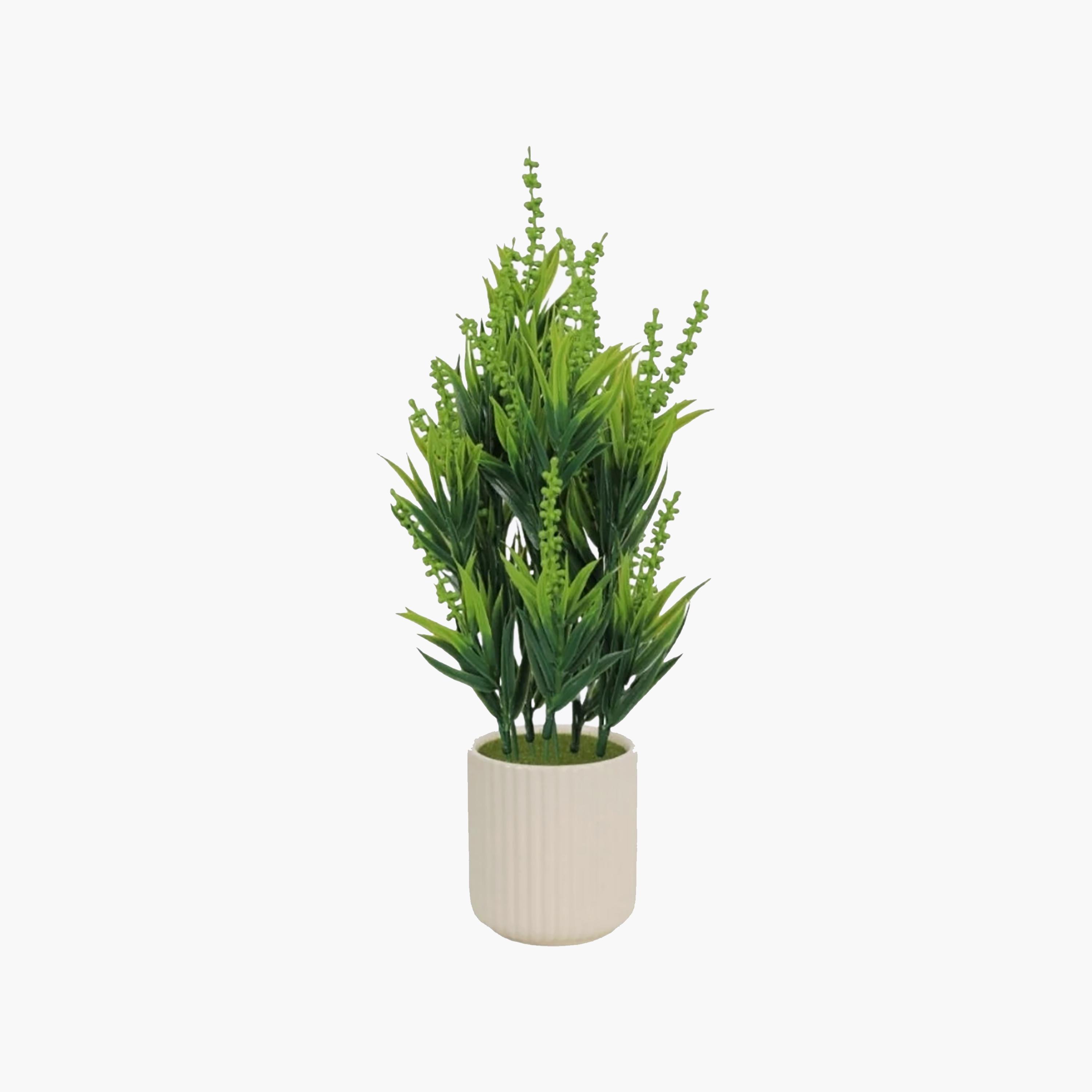 نبات أوراق صناعي مع أصيص سيراميك من ماريا هومز-household-gardenandoutdoor-artificialflowersandplants-flowers-image-2