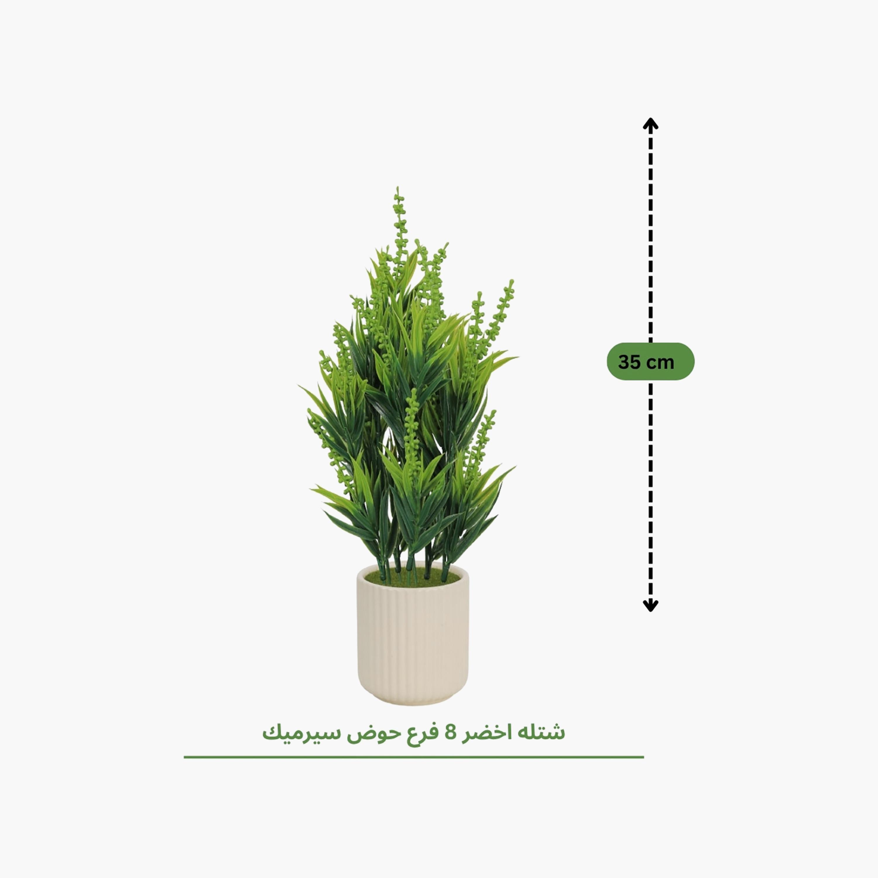 نبات أوراق صناعي مع أصيص سيراميك من ماريا هومز-household-gardenandoutdoor-artificialflowersandplants-flowers-image-4
