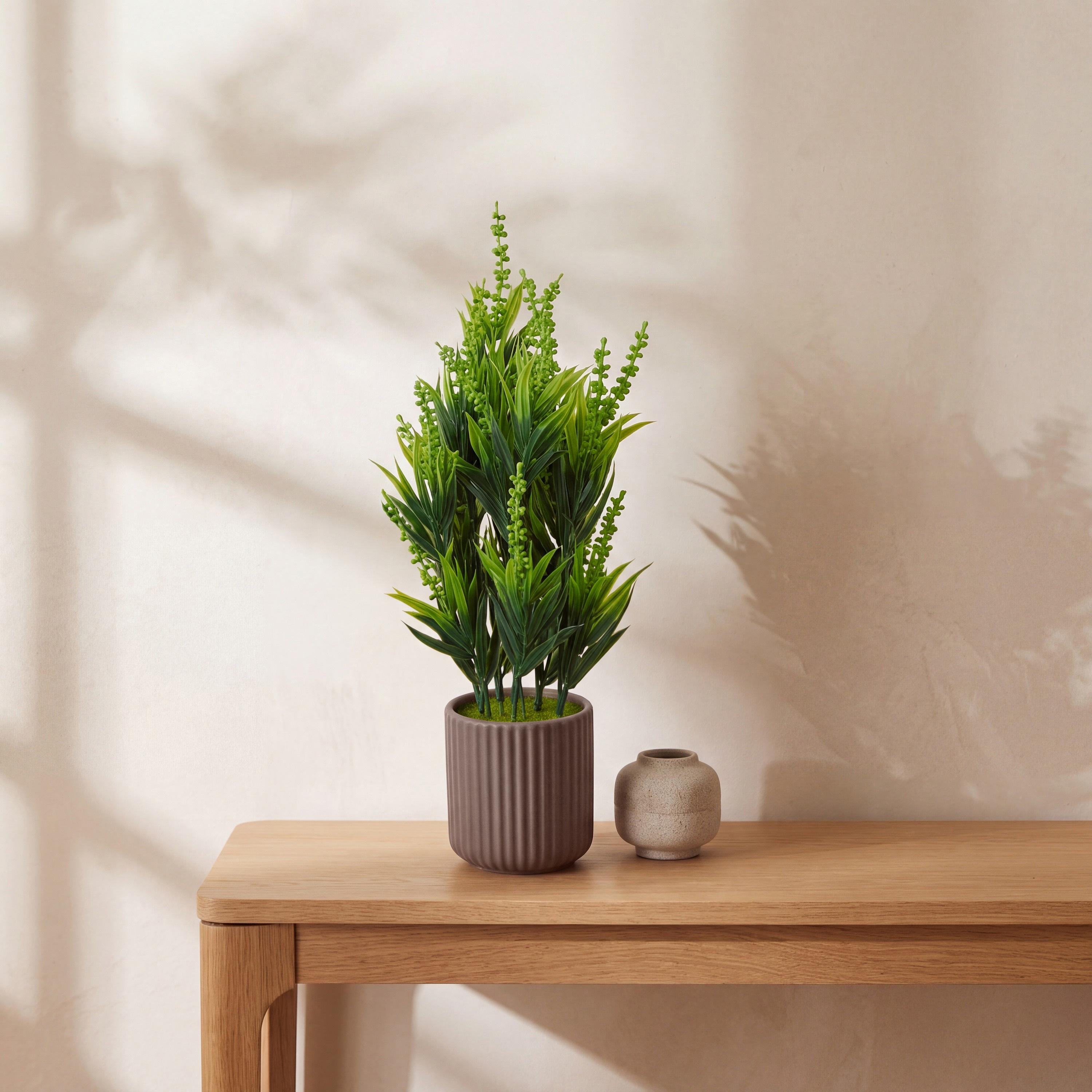 نبات أوراق صناعي مع أصيص سيراميك من ماريا هومز-household-gardenandoutdoor-artificialflowersandplants-flowers-image-1