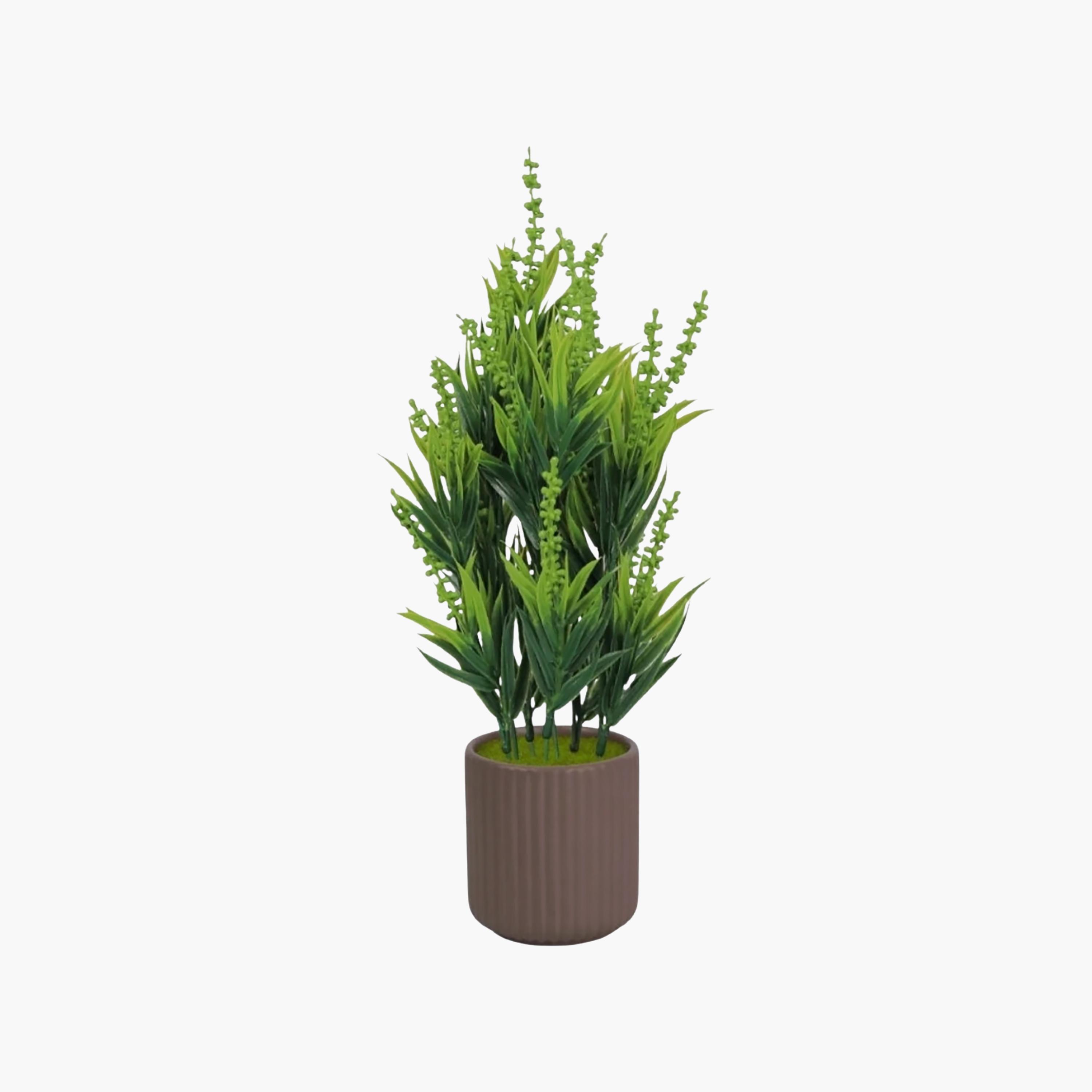 نبات أوراق صناعي مع أصيص سيراميك من ماريا هومز-household-gardenandoutdoor-artificialflowersandplants-flowers-image-2