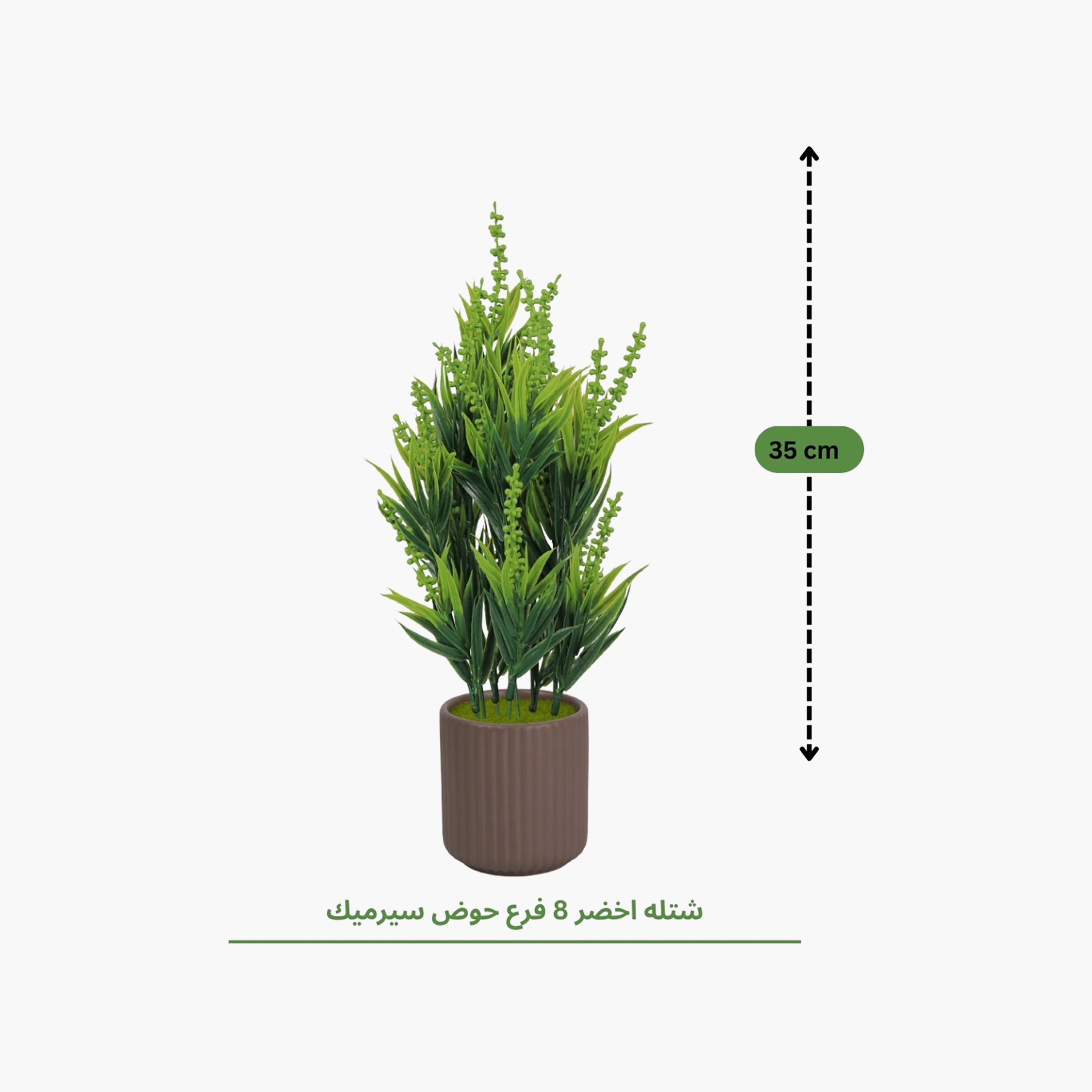نبات أوراق صناعي مع أصيص سيراميك من ماريا هومز-household-gardenandoutdoor-artificialflowersandplants-flowers-image-4