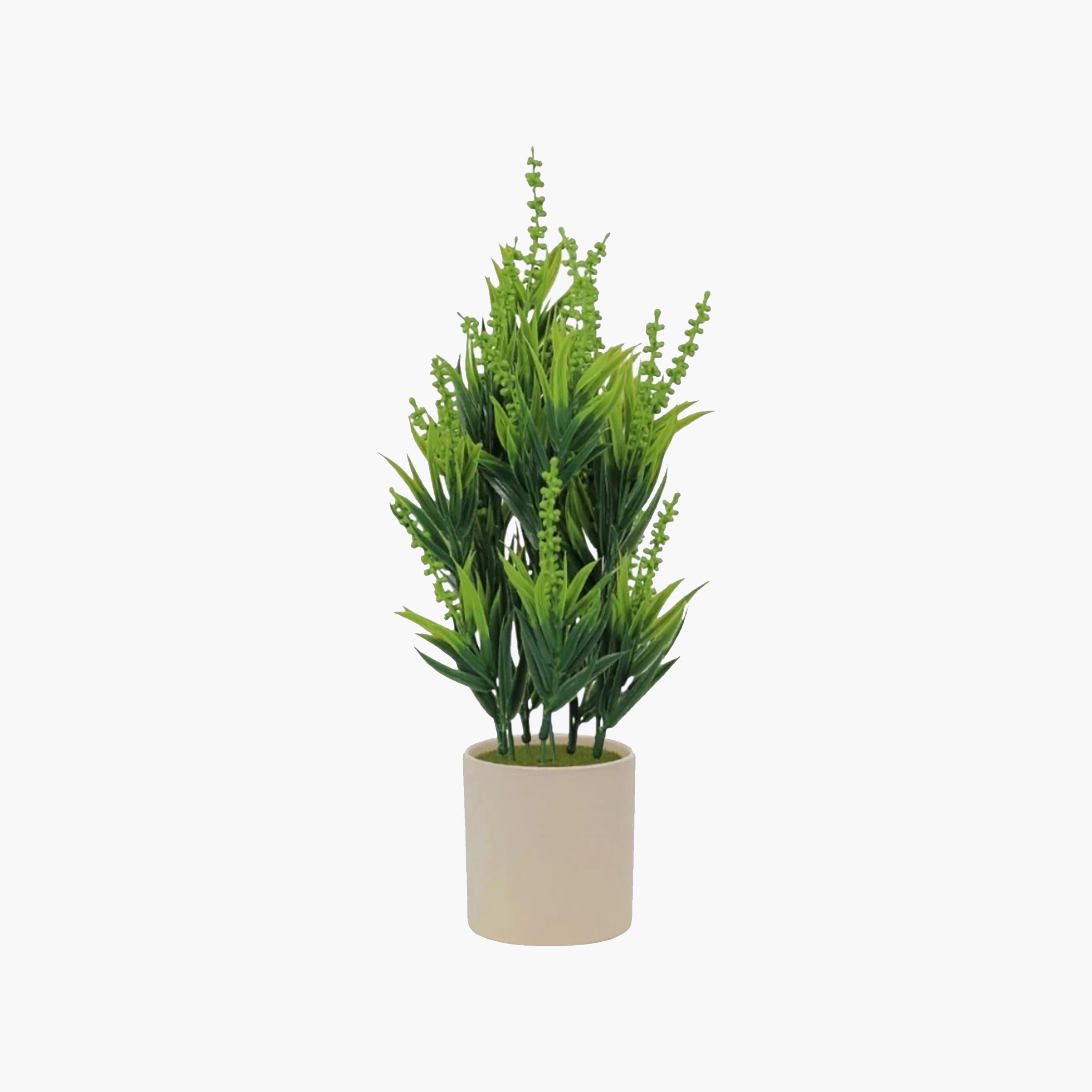 نبات أوراق صناعي مع أصيص سيراميك من ماريا هومز-household-gardenandoutdoor-artificialflowersandplants-flowers-image-2