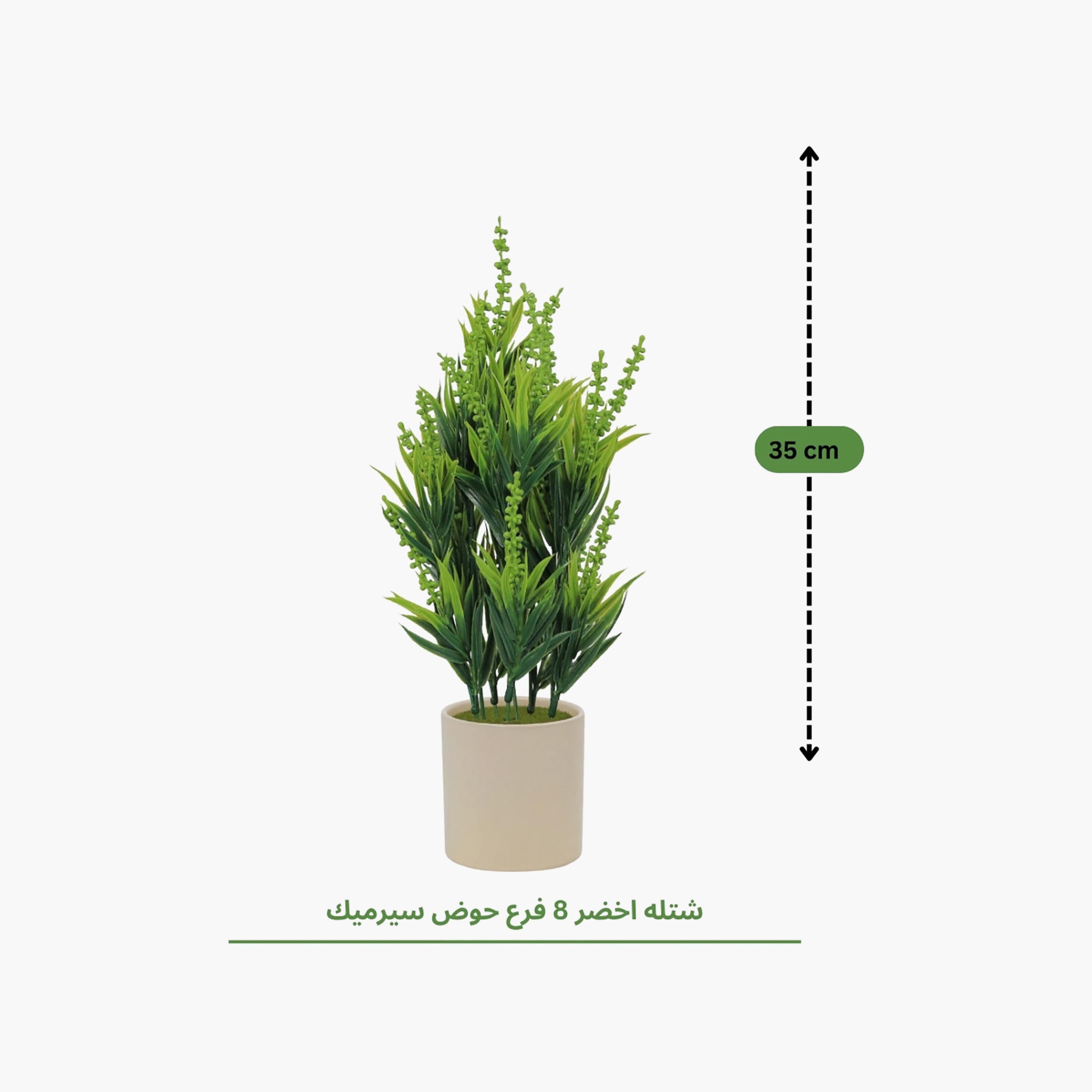 نبات أوراق صناعي مع أصيص سيراميك من ماريا هومز-household-gardenandoutdoor-artificialflowersandplants-flowers-image-4