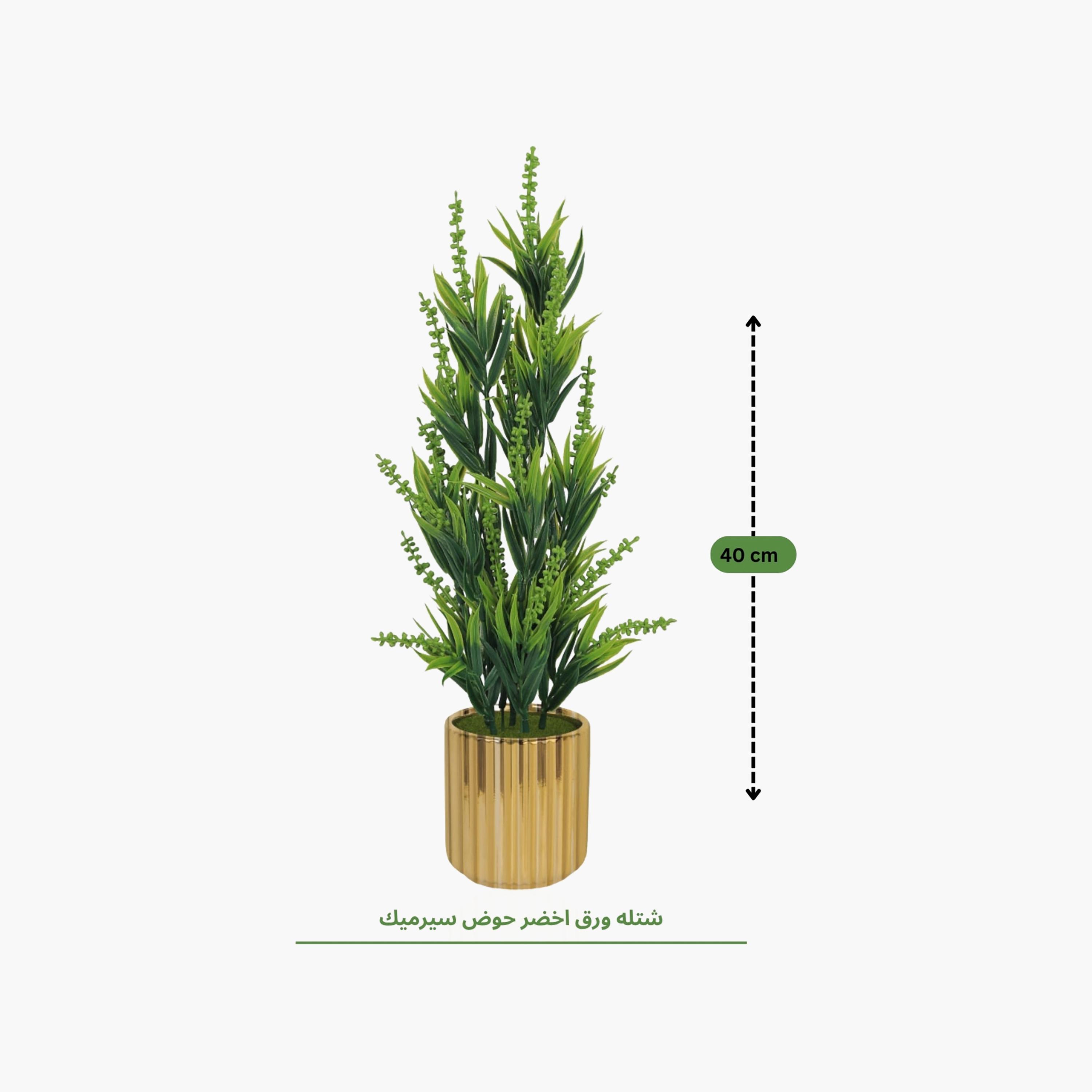 نبات أوراق صناعي ذهبي مع أصيص سيراميك من ماريا هومز-household-gardenandoutdoor-artificialflowersandplants-flowers-image-4