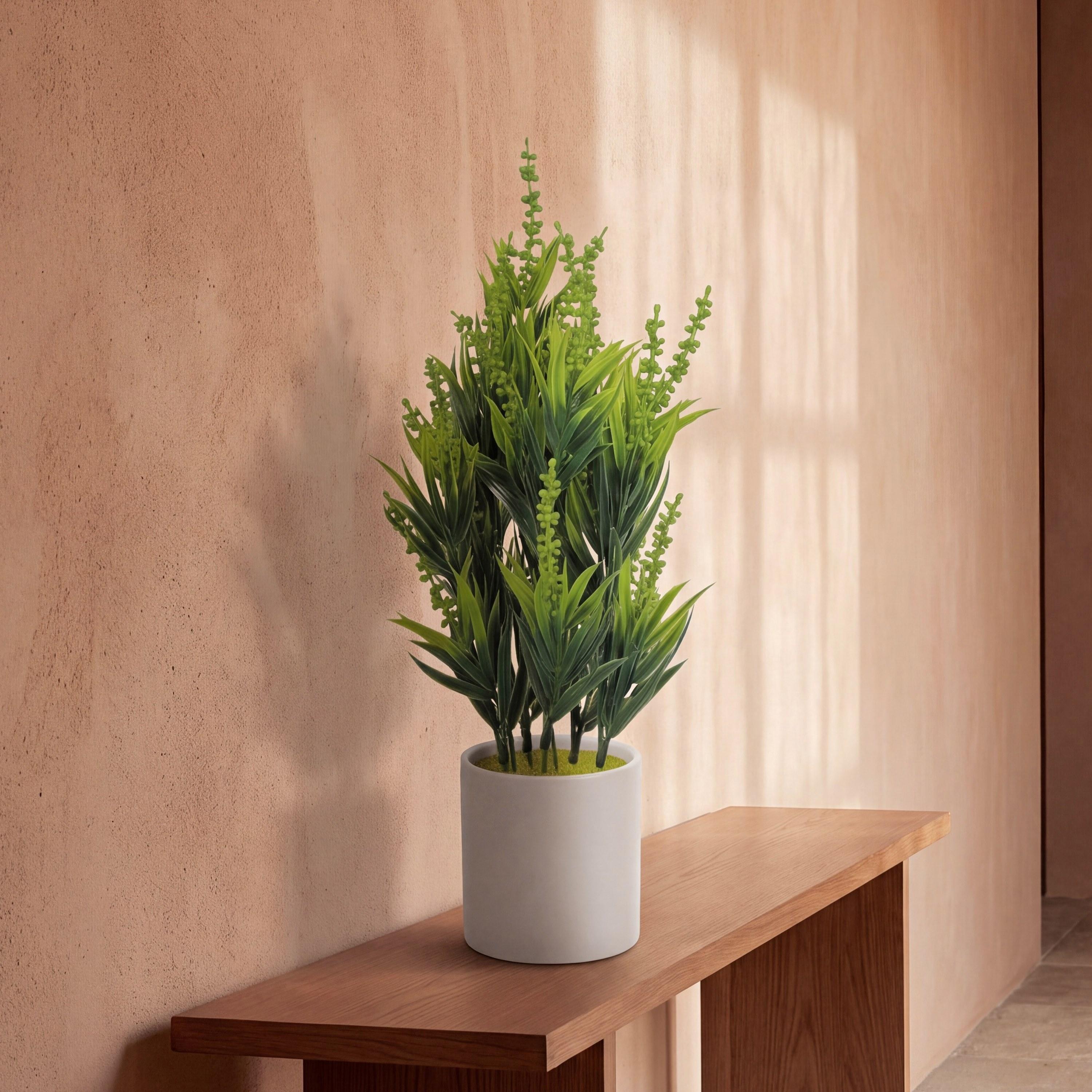 نبات أوراق صناعي أبيض بأصيص سيراميك من ماريا هومز-household-gardenandoutdoor-artificialflowersandplants-flowers-image-1