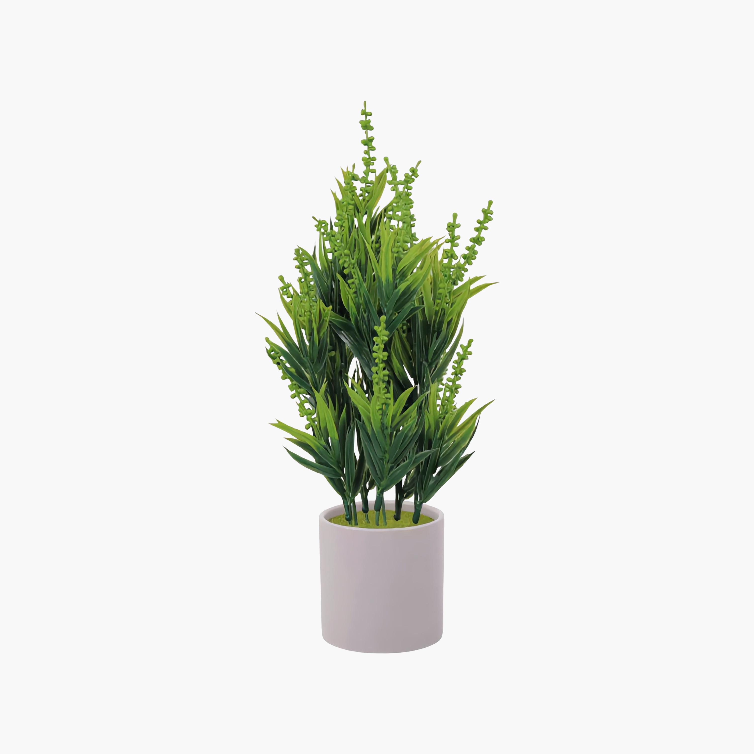 نبات أوراق صناعي أبيض بأصيص سيراميك من ماريا هومز-household-gardenandoutdoor-artificialflowersandplants-flowers-image-2
