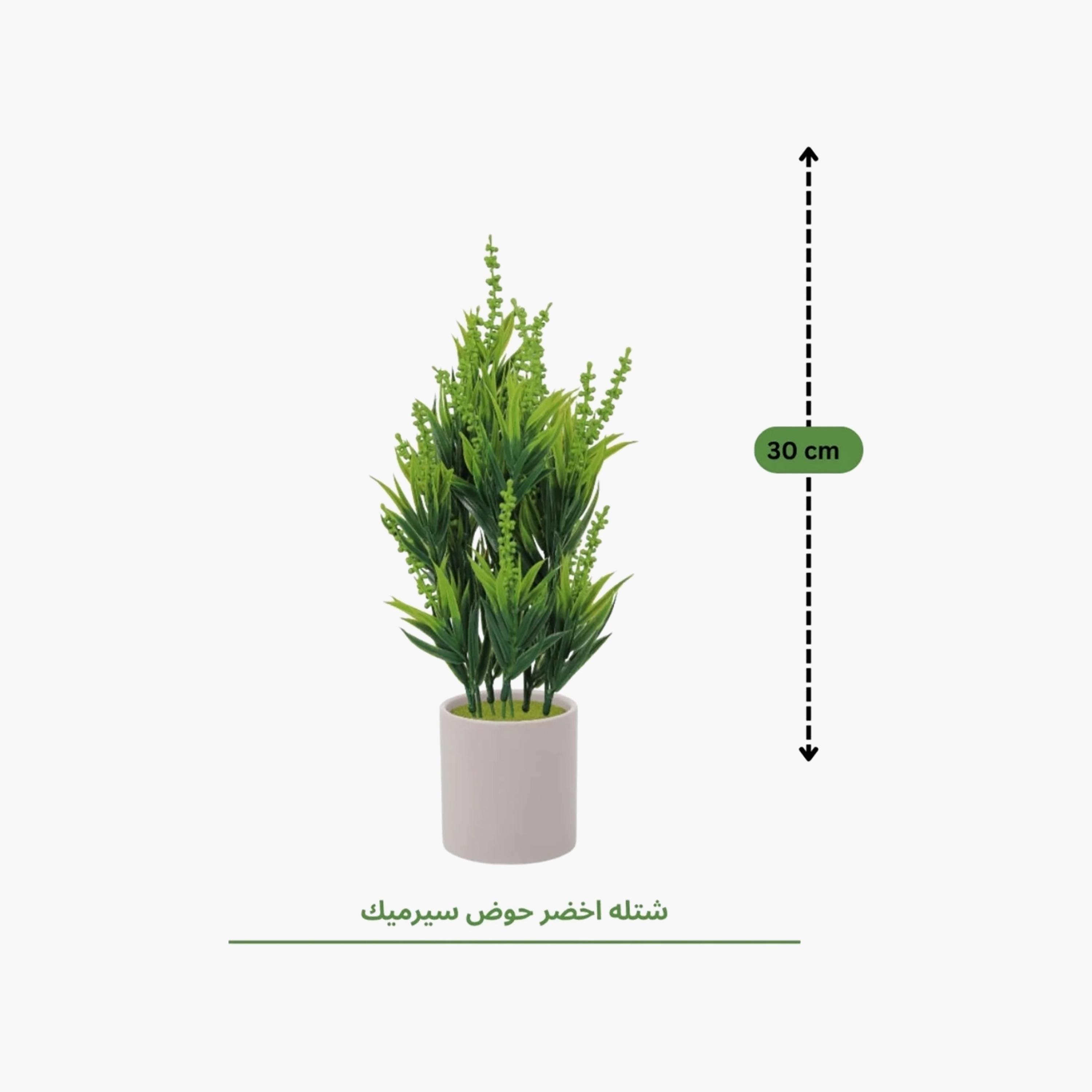 نبات أوراق صناعي أبيض بأصيص سيراميك من ماريا هومز-household-gardenandoutdoor-artificialflowersandplants-flowers-image-4