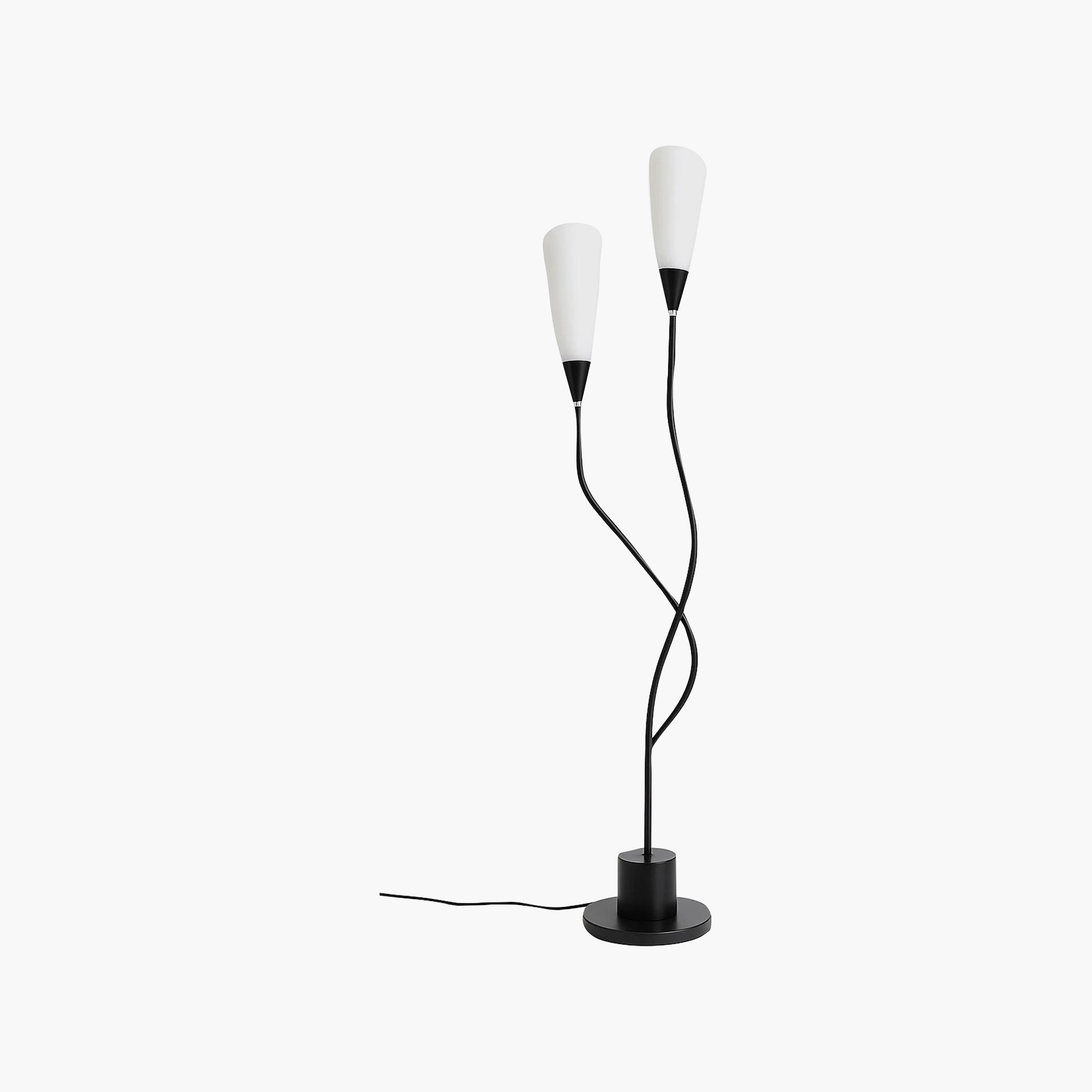 Maria Homes Elegant Black Twin-Arm Floor Lamp with Frosted Cone Shades-household-lighting-floorlamps-image-5