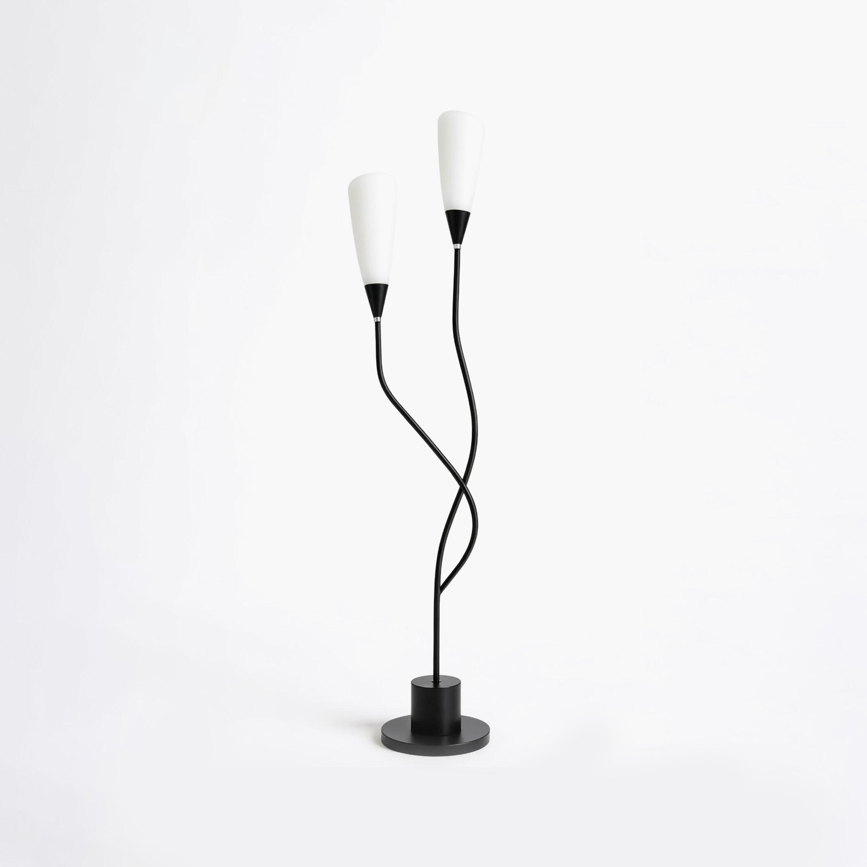 Maria Homes Elegant Black Twin-Arm Floor Lamp with Frosted Cone Shades-household-lighting-floorlamps-image-6
