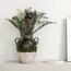 Nilsa Terra Clay Vase - 37 cm-promo_HC_AE_discountpromo_20042020-image-2