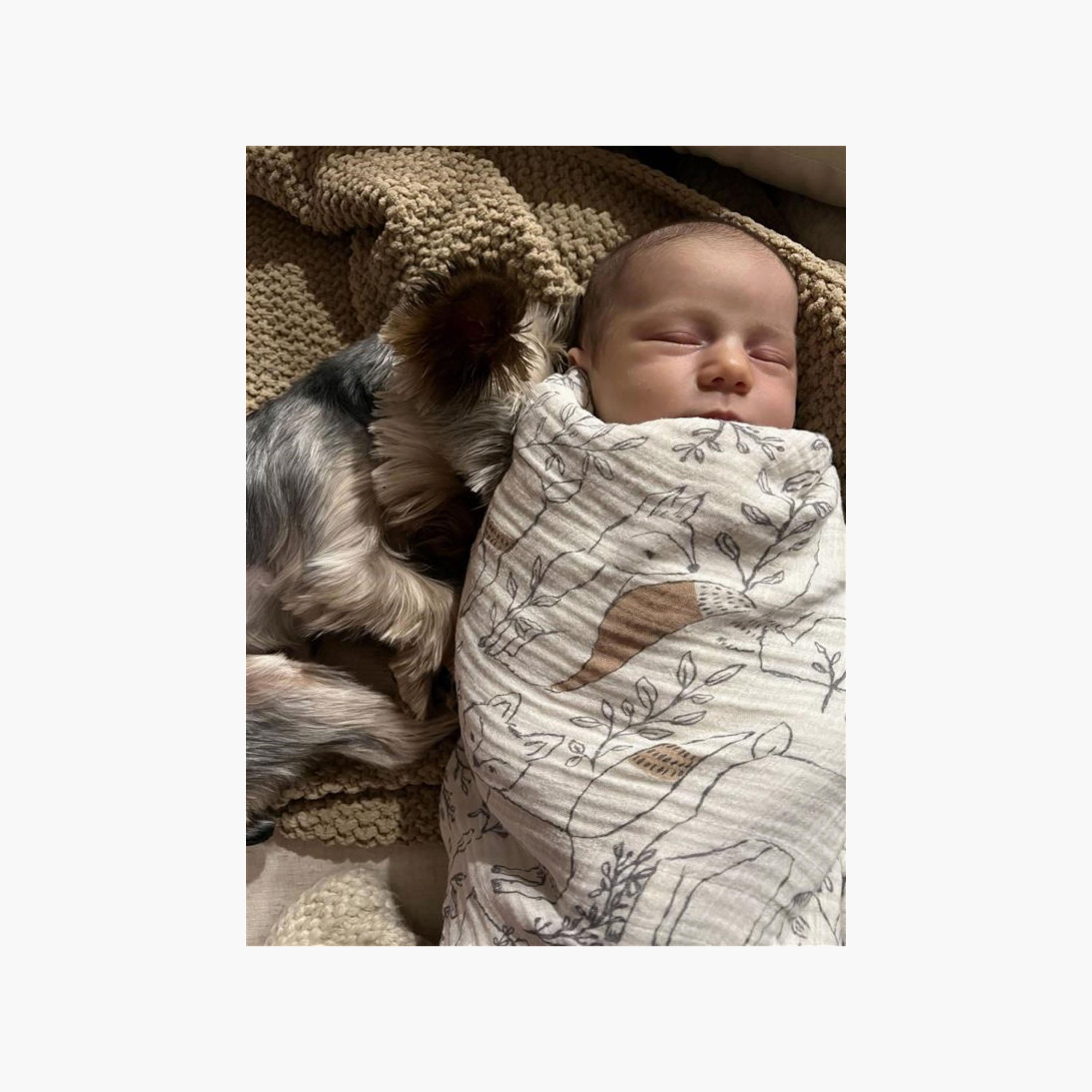 أقمطة موسلين للأطفال قطعتين من كرين بيبي-baby-nursery-blanketsandswaddles-receivingblankets-image-7